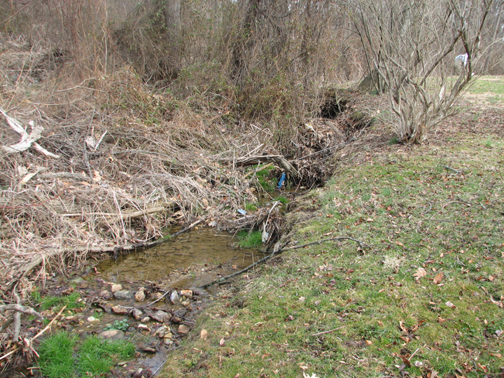 Field photo showing stream conditions at site PRET-103-R-2008-1