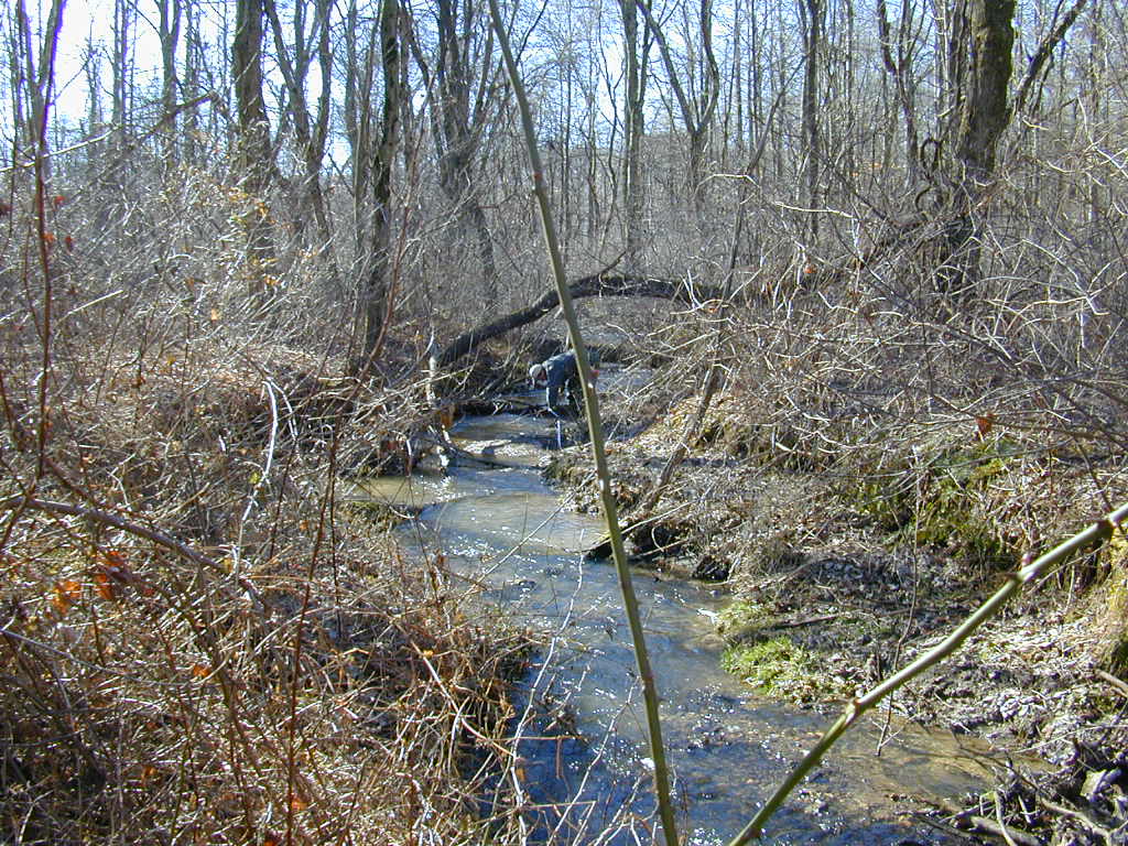 Field photo showing stream conditions at site PRET-104-R-2000-01