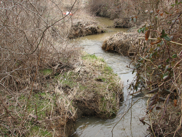 Field photo showing stream conditions at site PRET-106-R-2008-1