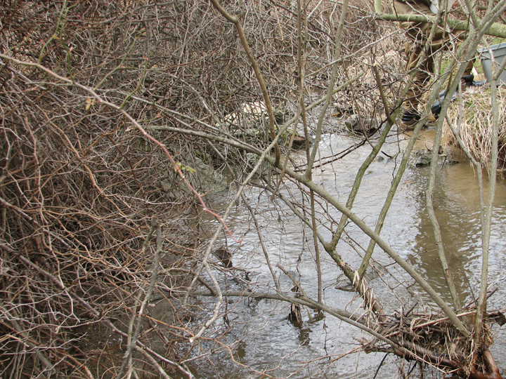 Field photo showing stream conditions at site PRET-106-R-2008-2