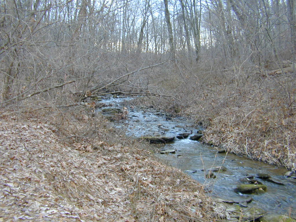 Field photo showing stream conditions at site PRET-108-R-2000-01