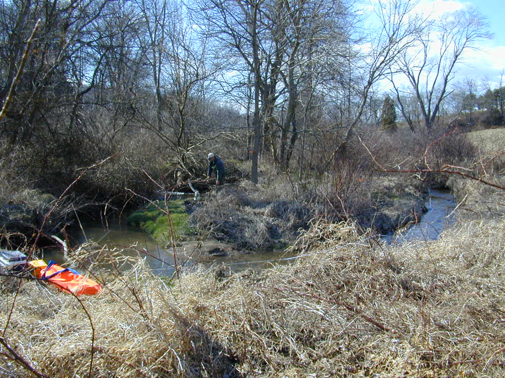 Field photo showing stream conditions at site PRET-109-R-2000-01