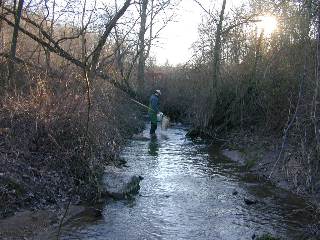 Field photo showing stream conditions at site PRET-110-R-2000-01