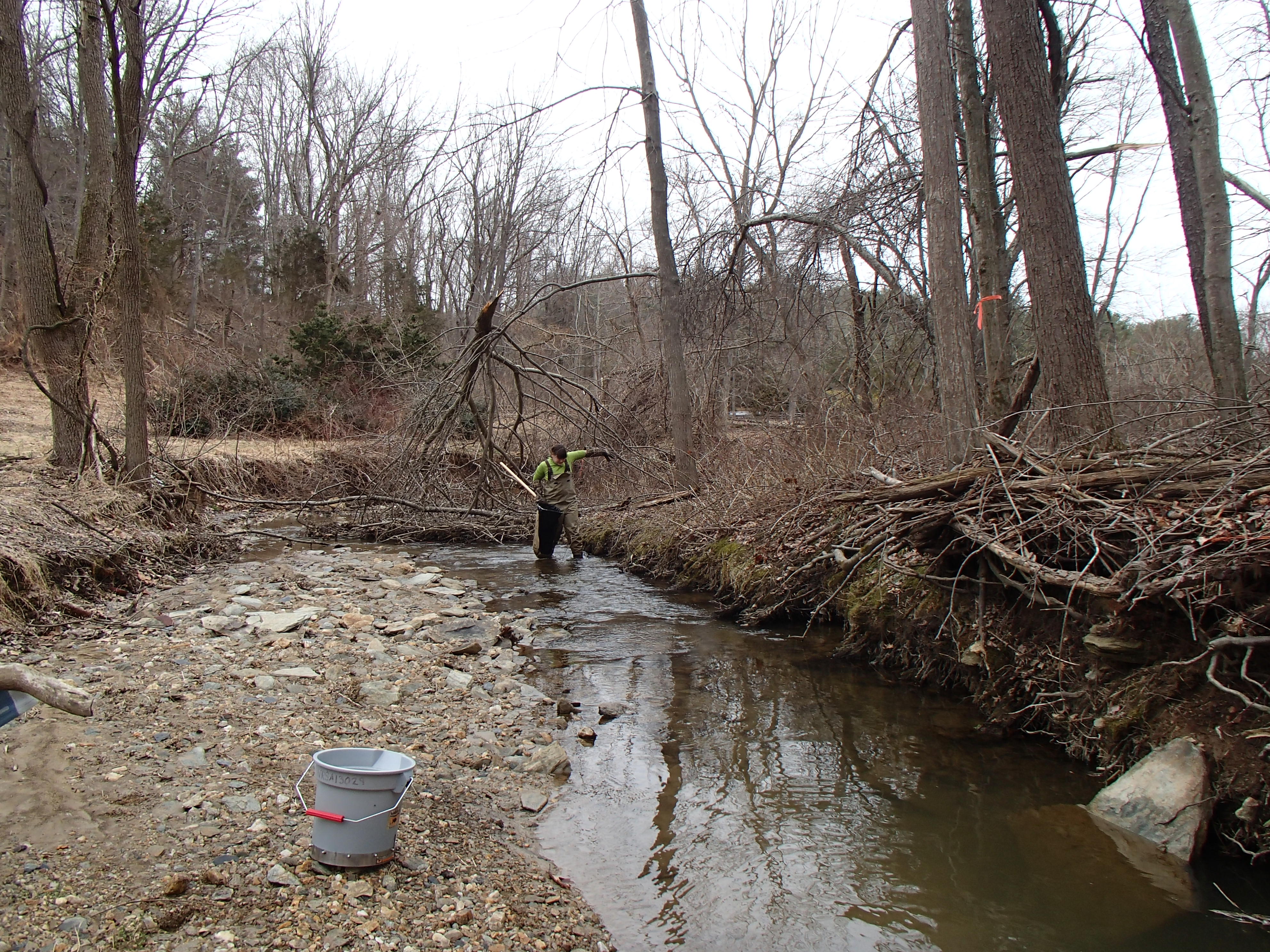 Field photo showing stream conditions at site PRET-110-R-2014-2