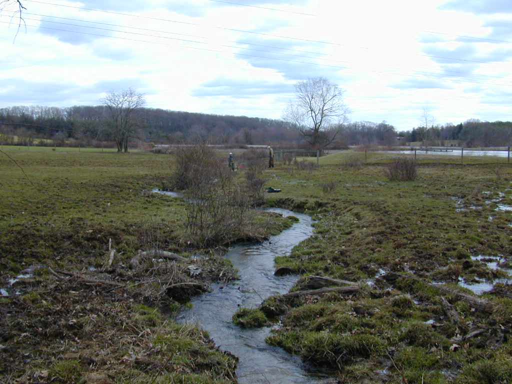 Field photo showing stream conditions at site PRET-111-R-2000-01