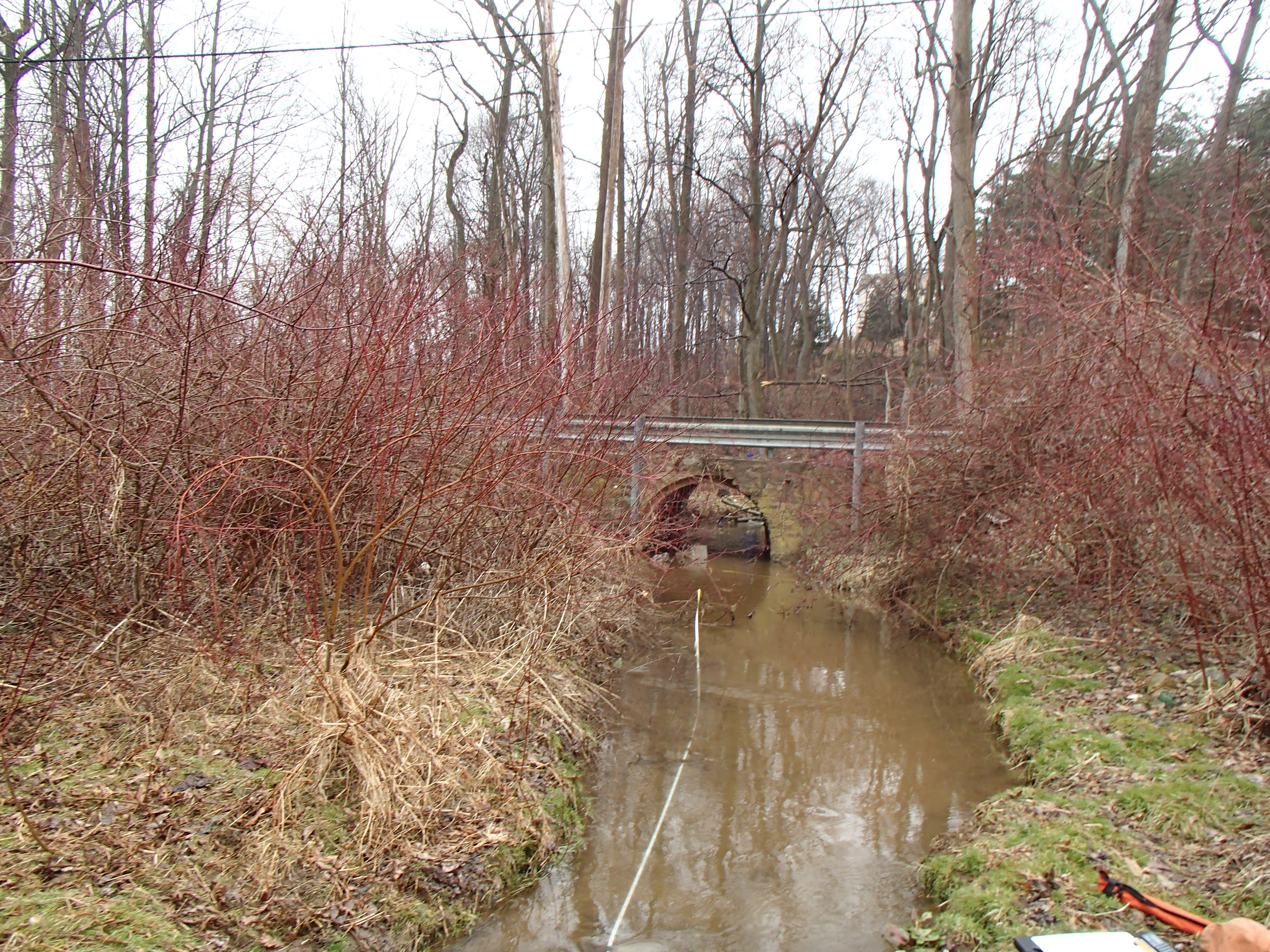 Field photo showing stream conditions at site PRET-111-R-2014-1