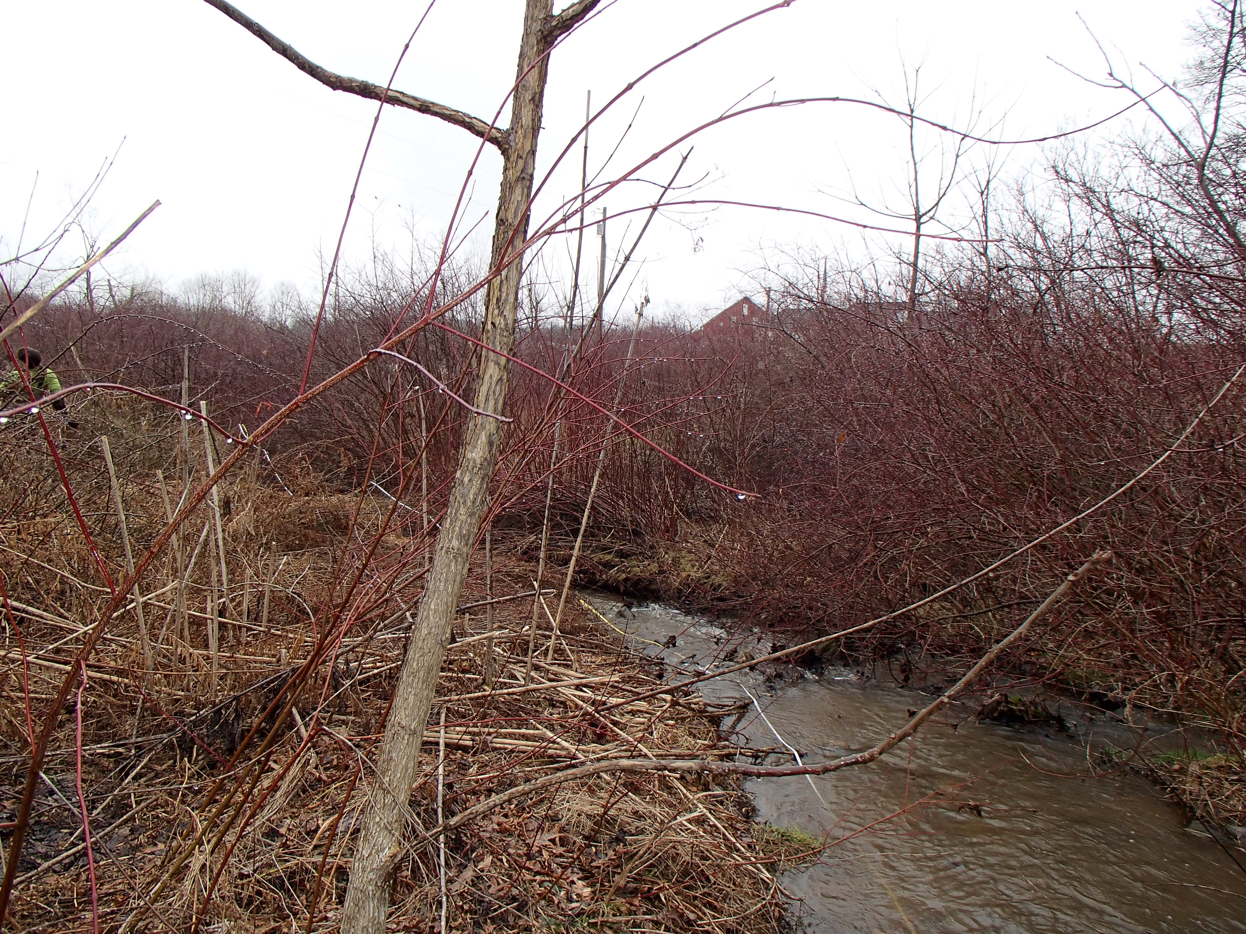 Field photo showing stream conditions at site PRET-111-R-2014-2