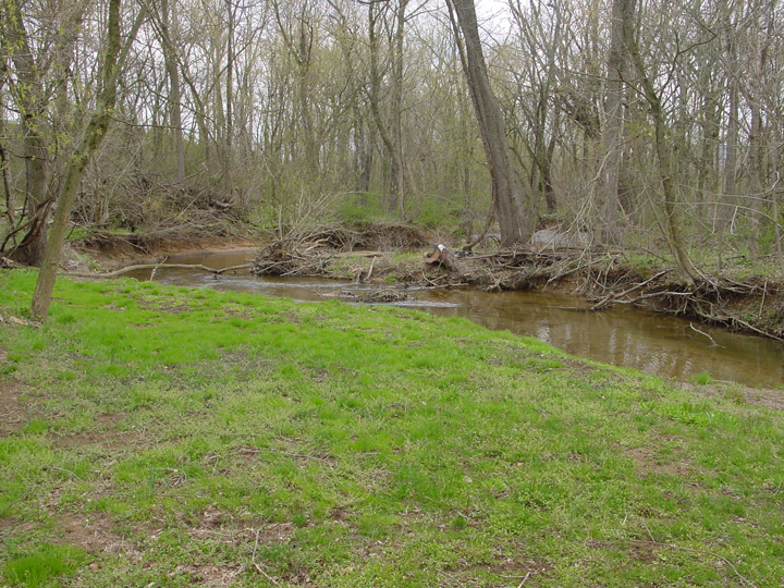 Field photo showing stream conditions at site PRFR-115-R-2007-1