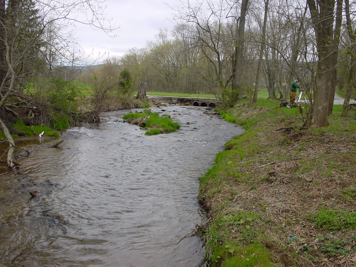 Field photo showing stream conditions at site PRFR-115-R-2007-2