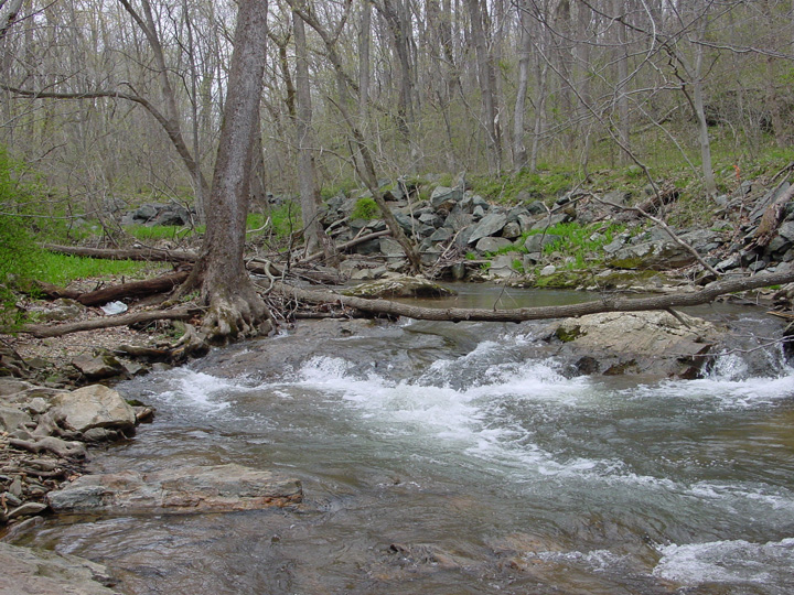 Field photo showing stream conditions at site PRFR-116-R-2007-1