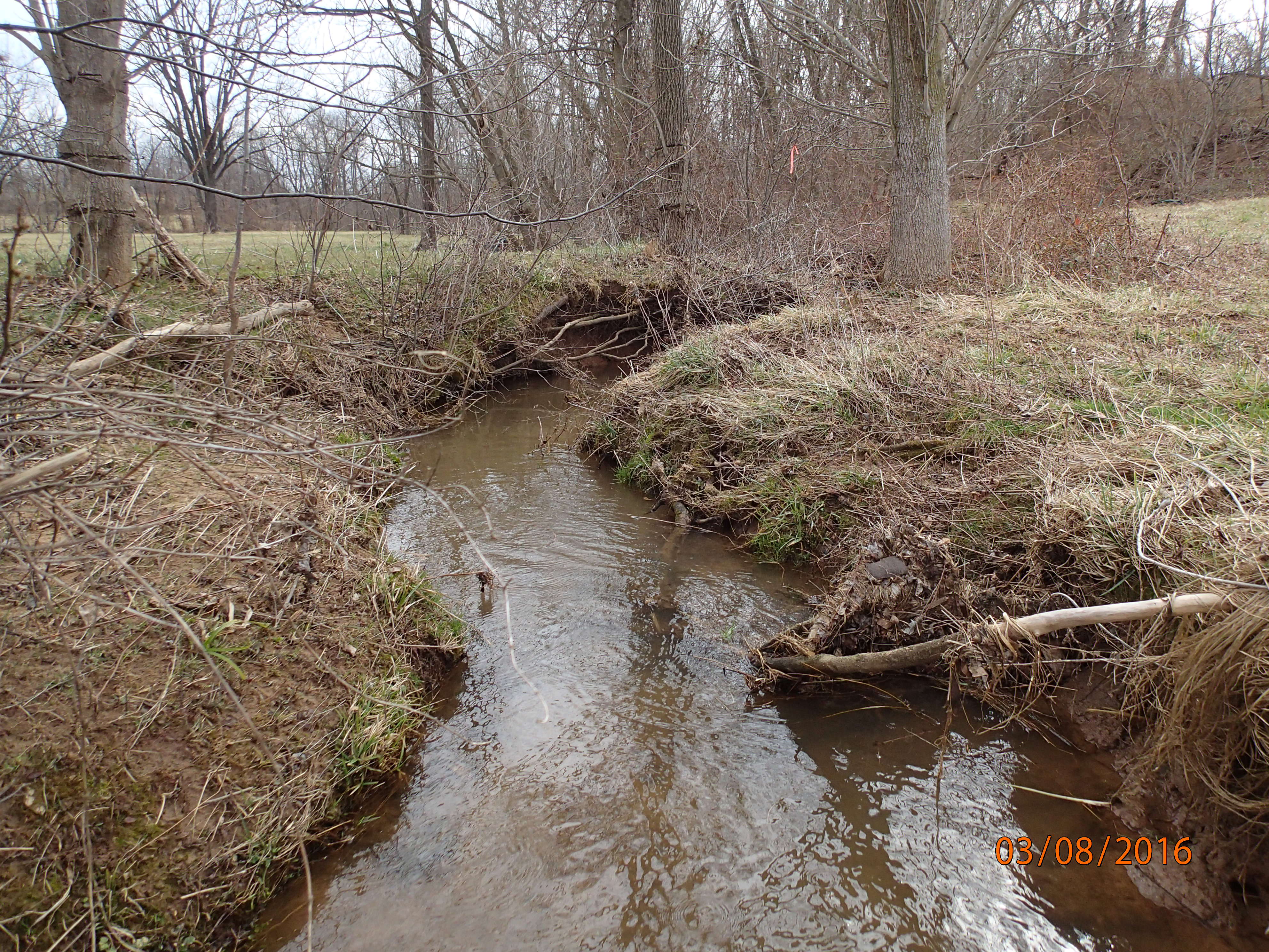 Field photo showing stream conditions at site PRFR-121-R-2016-MidpointDownstream