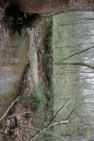 Field photo showing stream conditions at site PRFR-191-A-2012-52mUpstream