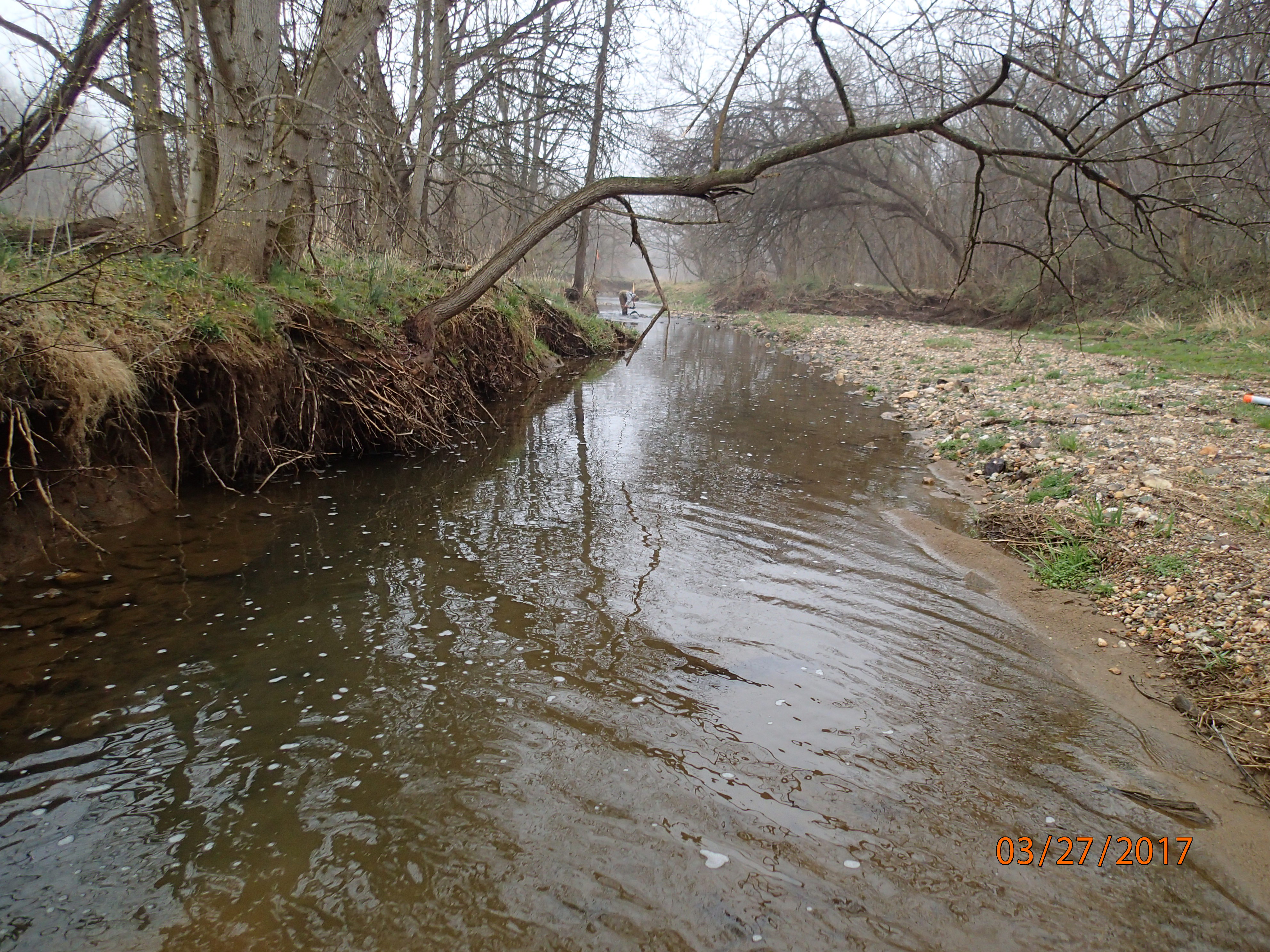 Field photo showing stream conditions at site PRFR-201-X-2017-MidpointDownstream