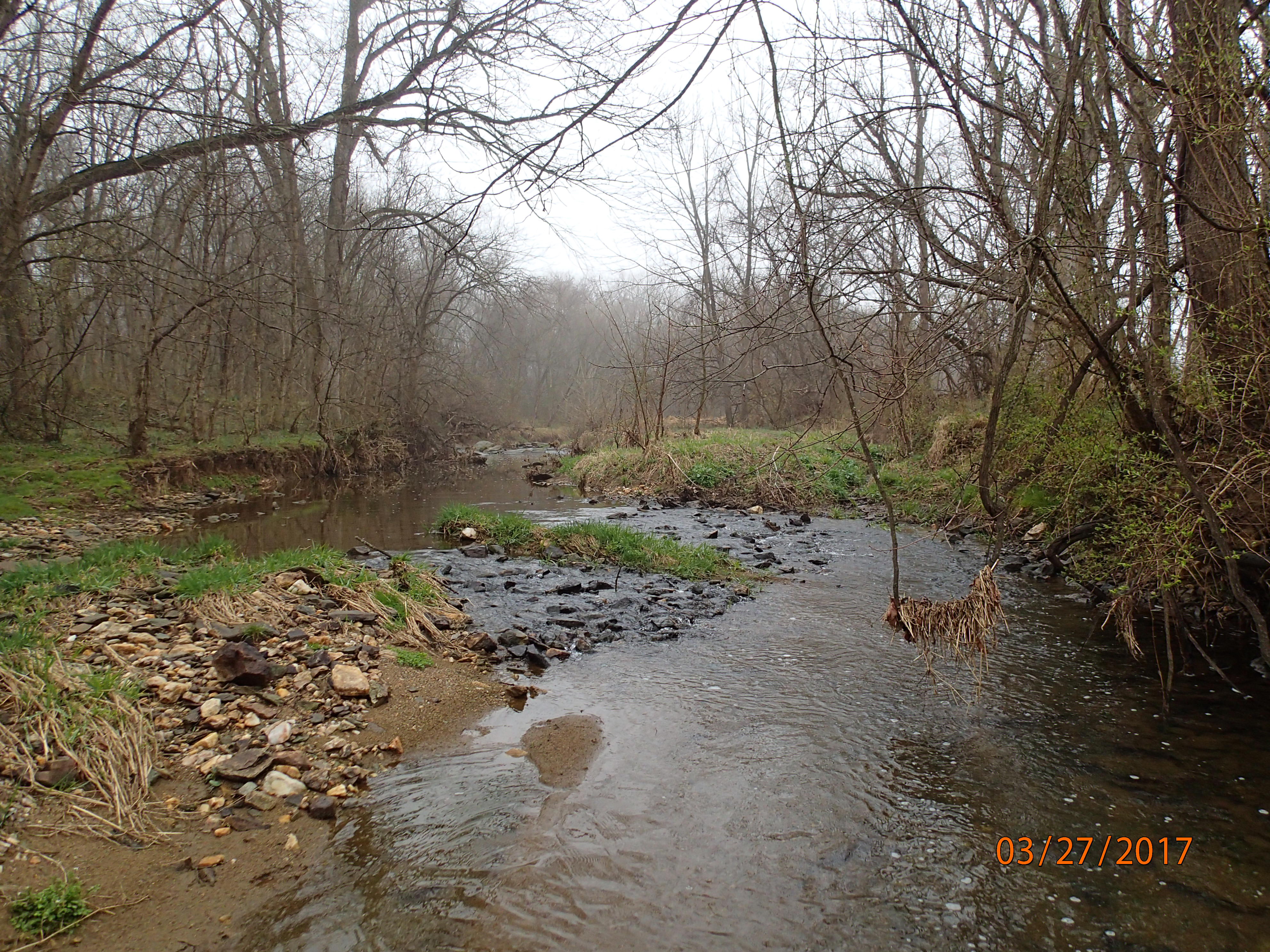 Field photo showing stream conditions at site PRFR-201-X-2017-MidpointUpstream