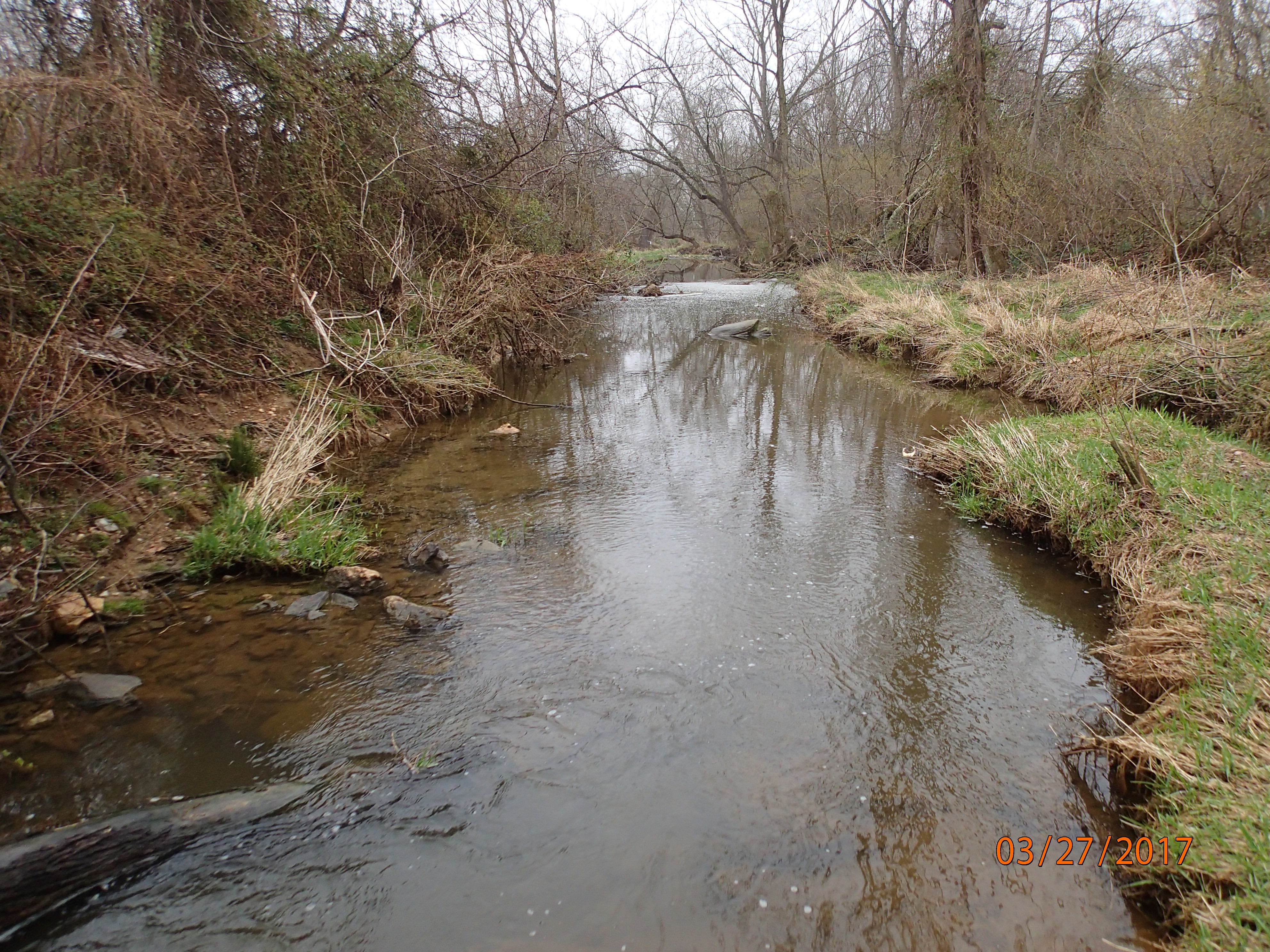 Field photo showing stream conditions at site PRFR-202-X-2017-MidpointDownstream