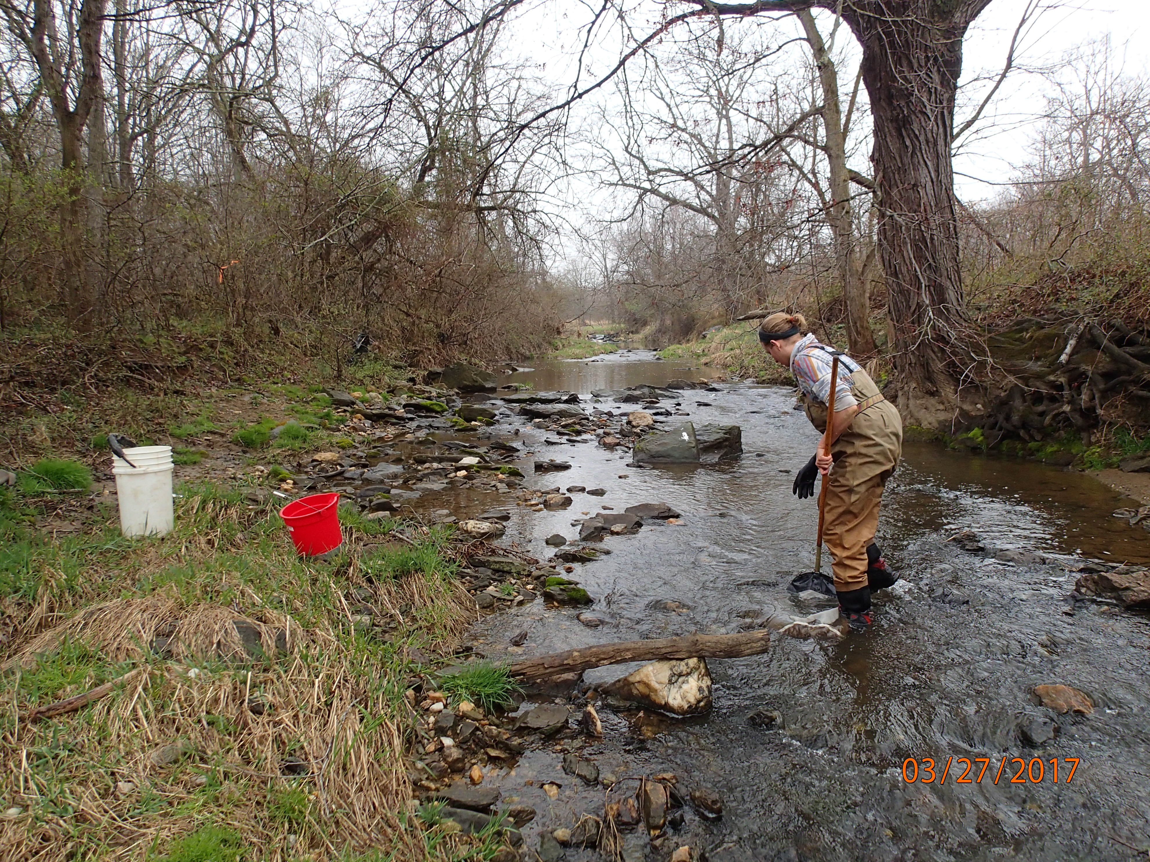Field photo showing stream conditions at site PRFR-202-X-2017-MidpointUpstream