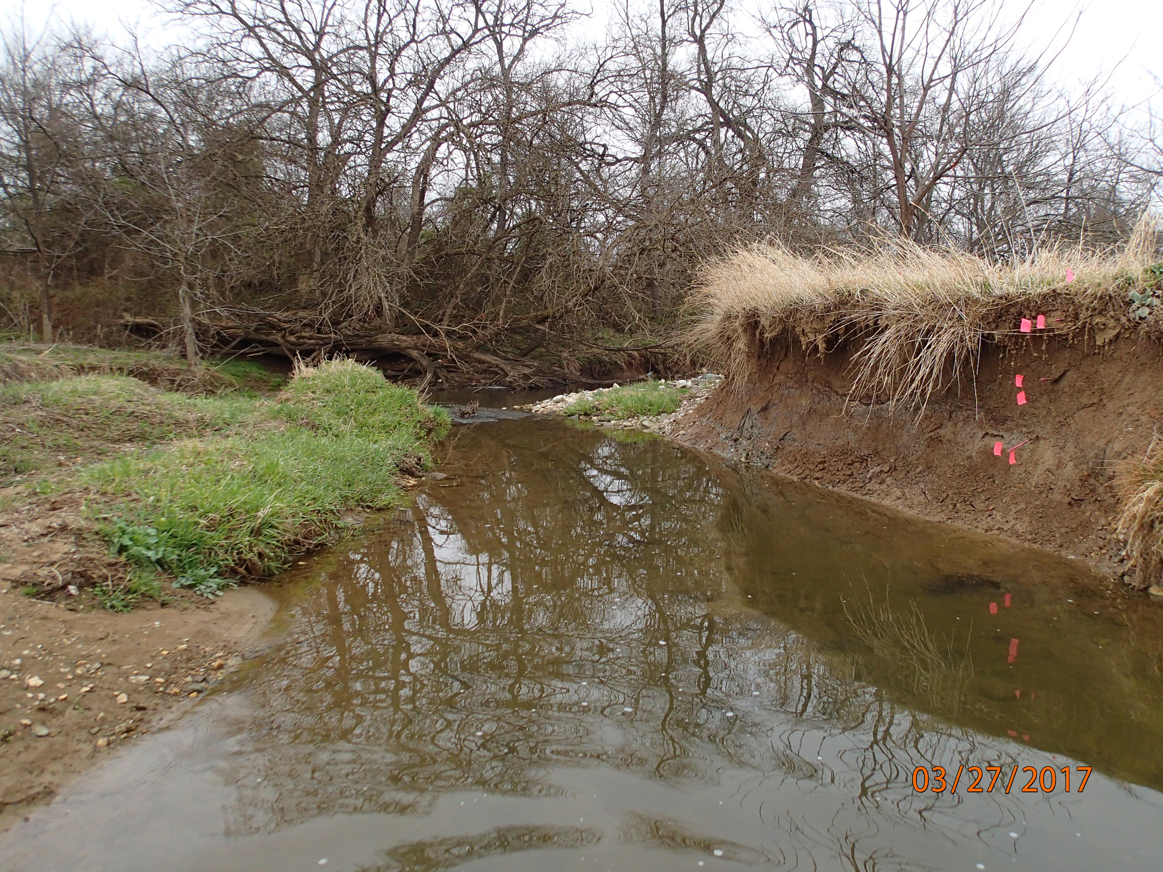 Field photo showing stream conditions at site PRFR-203-X-2017-MidpointDownstream