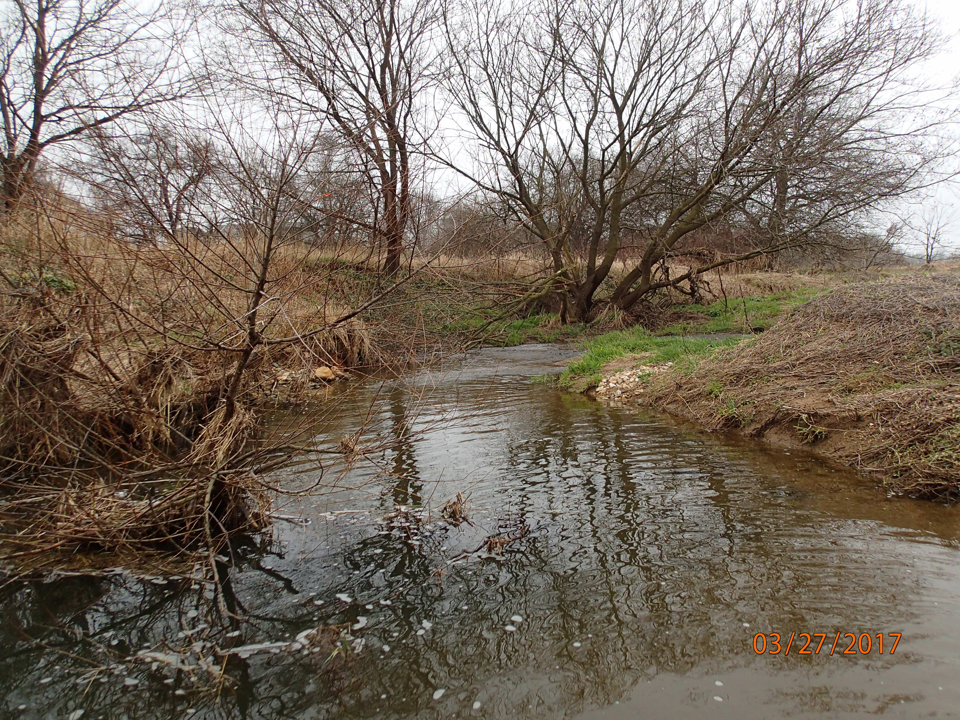 Field photo showing stream conditions at site PRFR-203-X-2017-MidpointUpstream