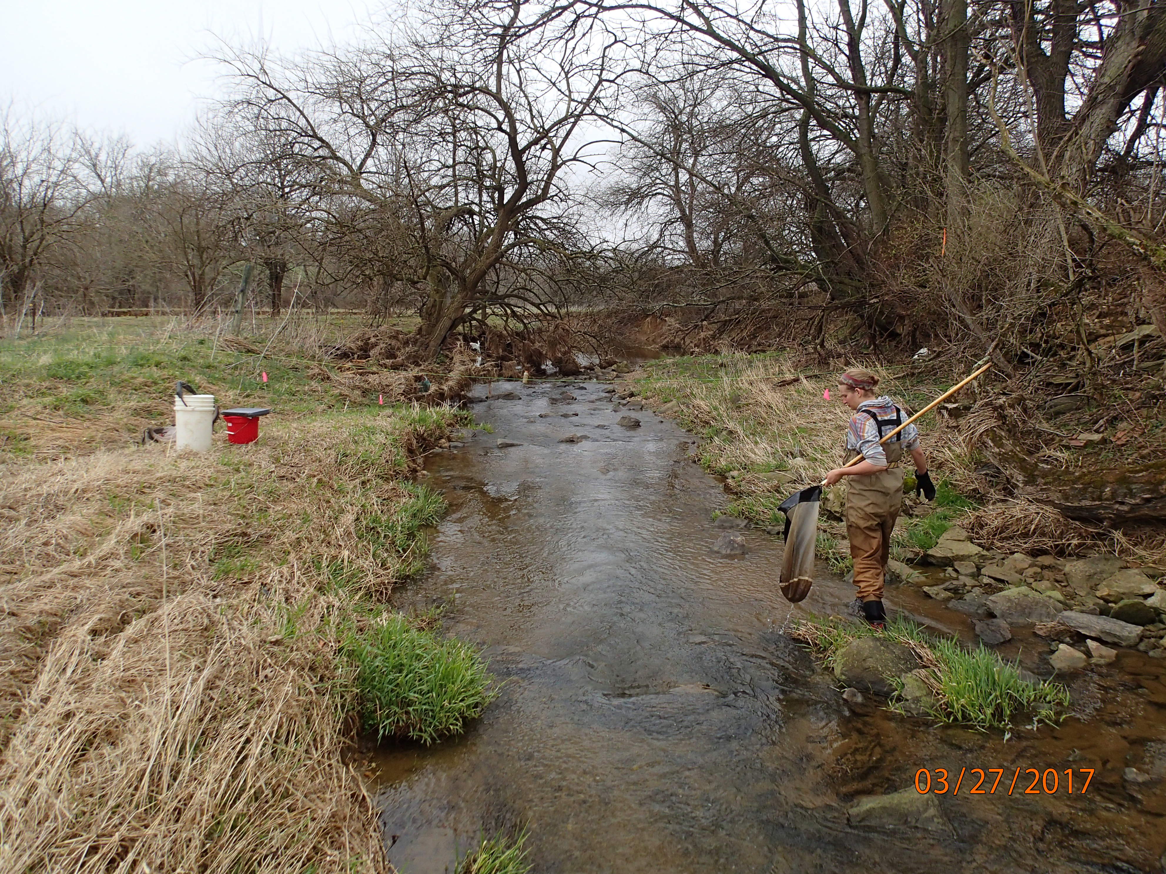 Field photo showing stream conditions at site PRFR-204-X-2017-MidpointDownstream