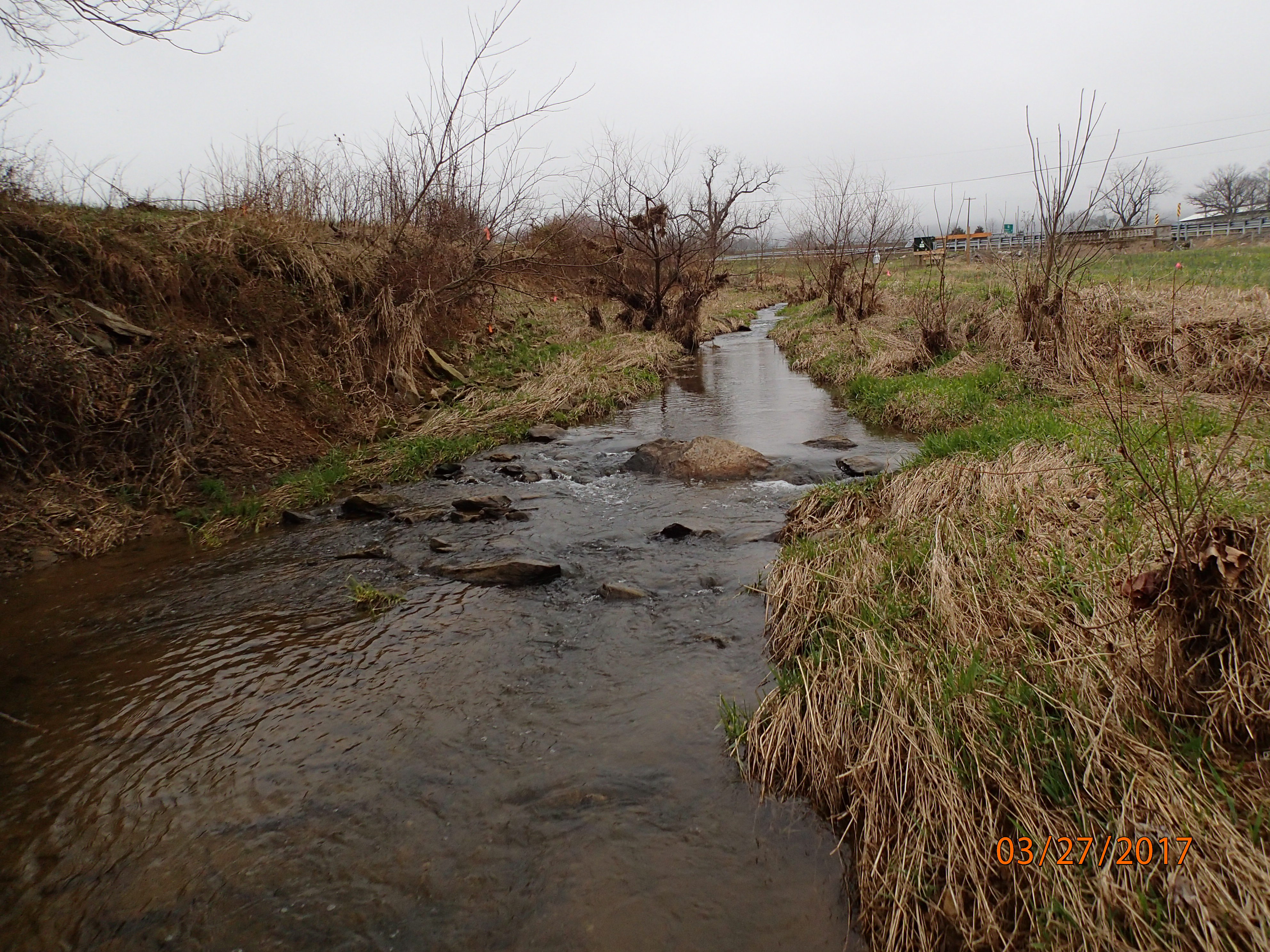 Field photo showing stream conditions at site PRFR-204-X-2017-MidpointUpstream
