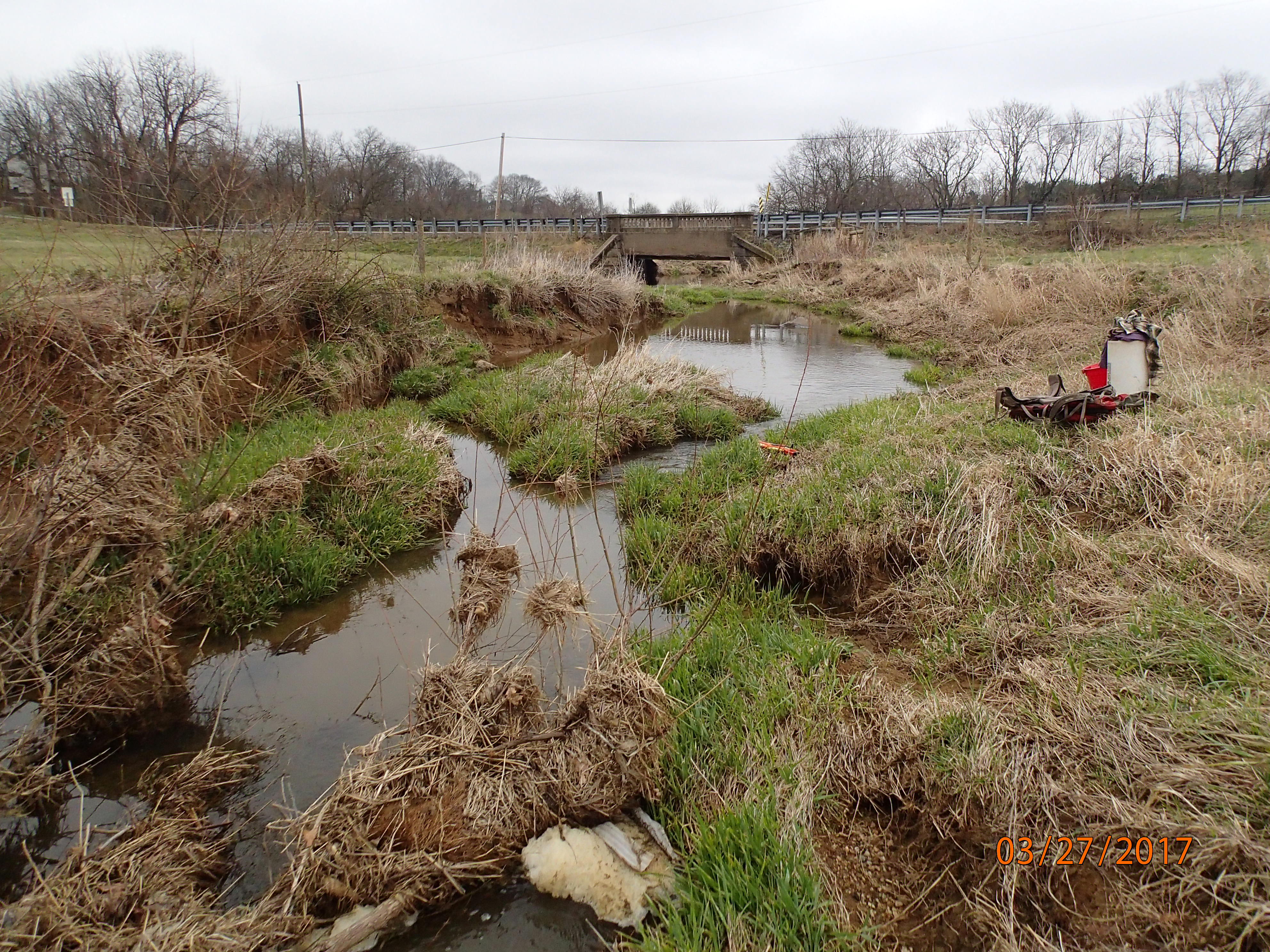 Field photo showing stream conditions at site PRFR-205-X-2017-MidpointDownstream