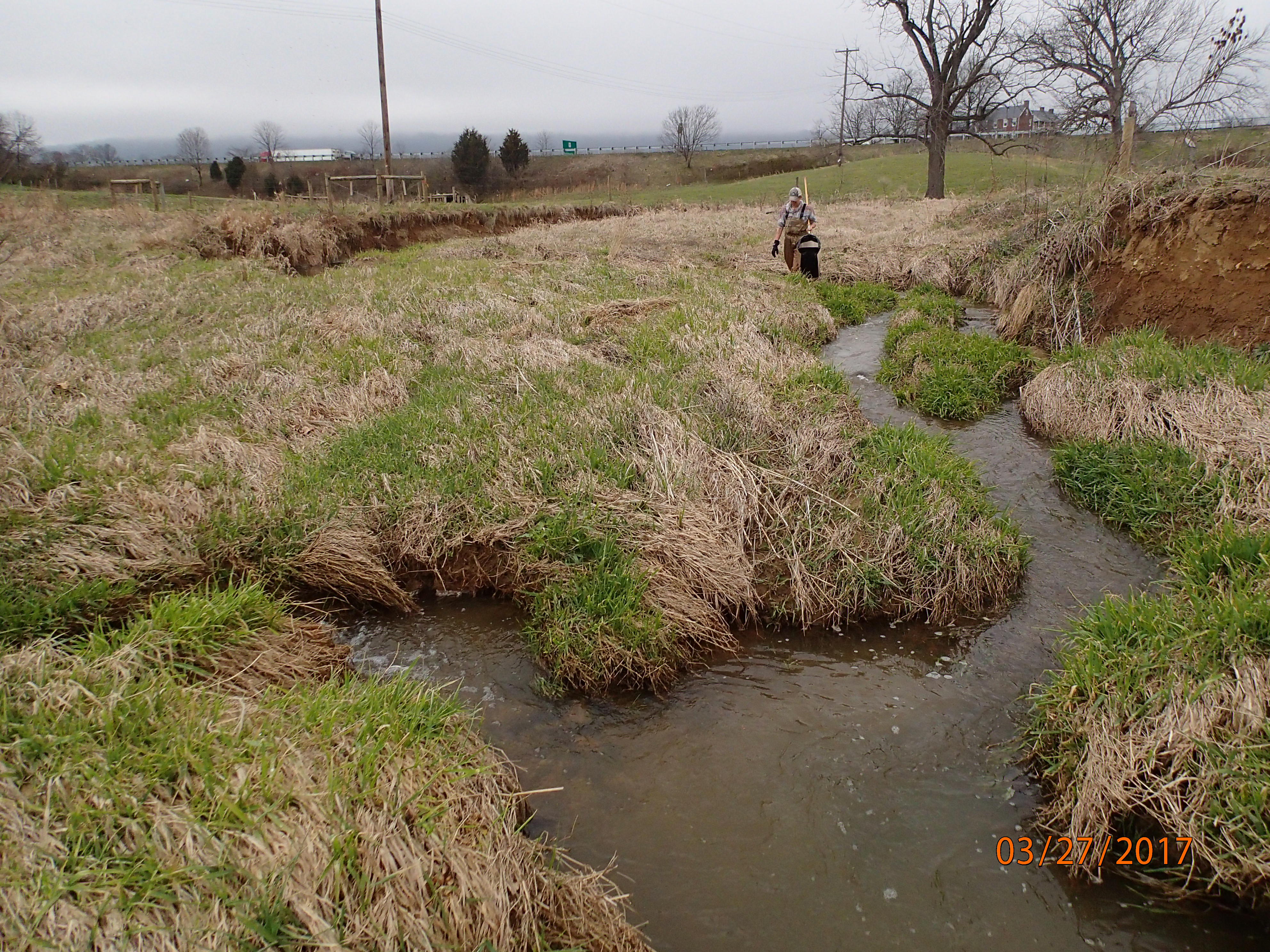 Field photo showing stream conditions at site PRFR-205-X-2017-MidpointUpstream