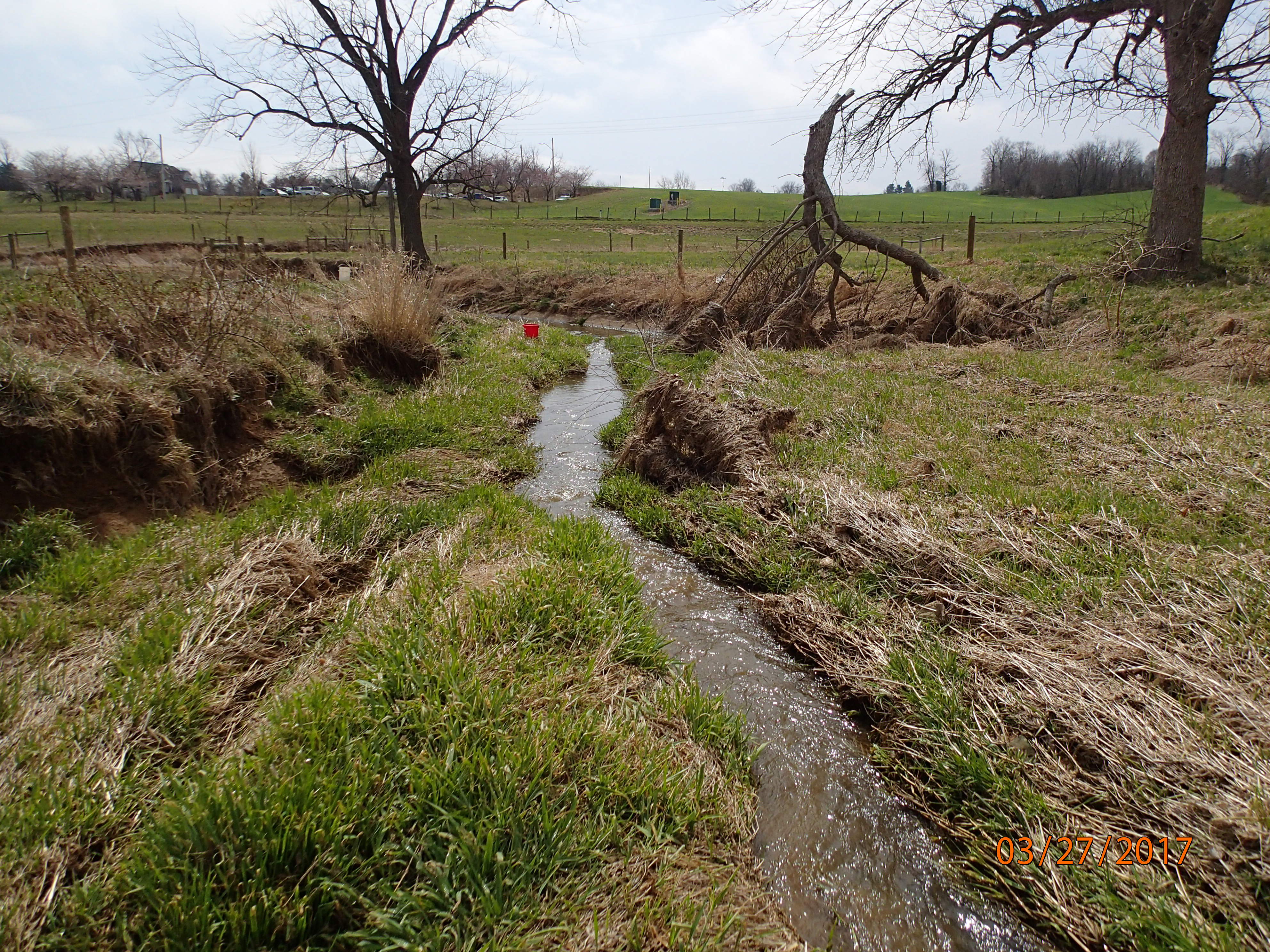 Field photo showing stream conditions at site PRFR-206-X-2017-MidpointDownstream