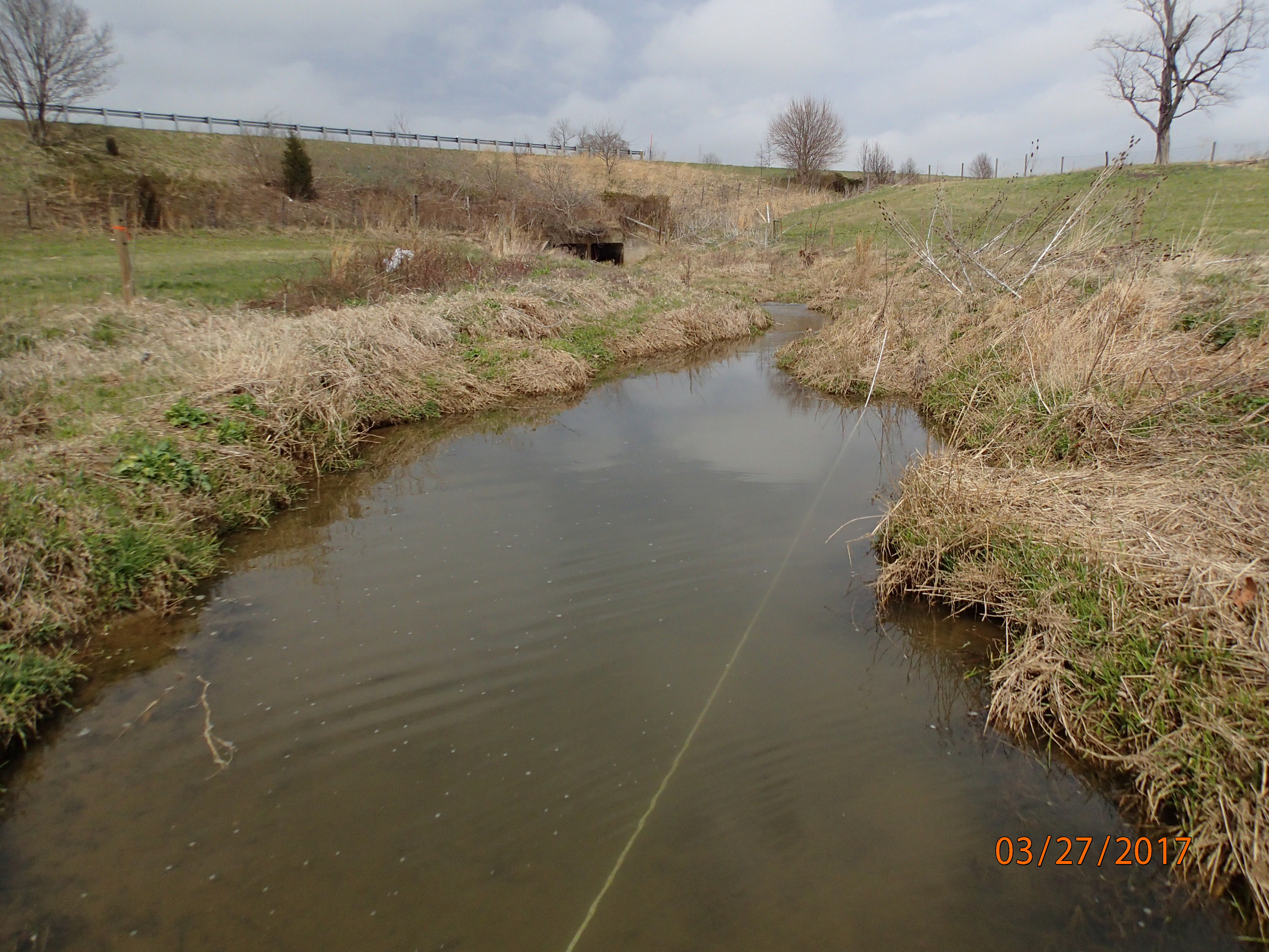 Field photo showing stream conditions at site PRFR-206-X-2017-MidpointUpstream