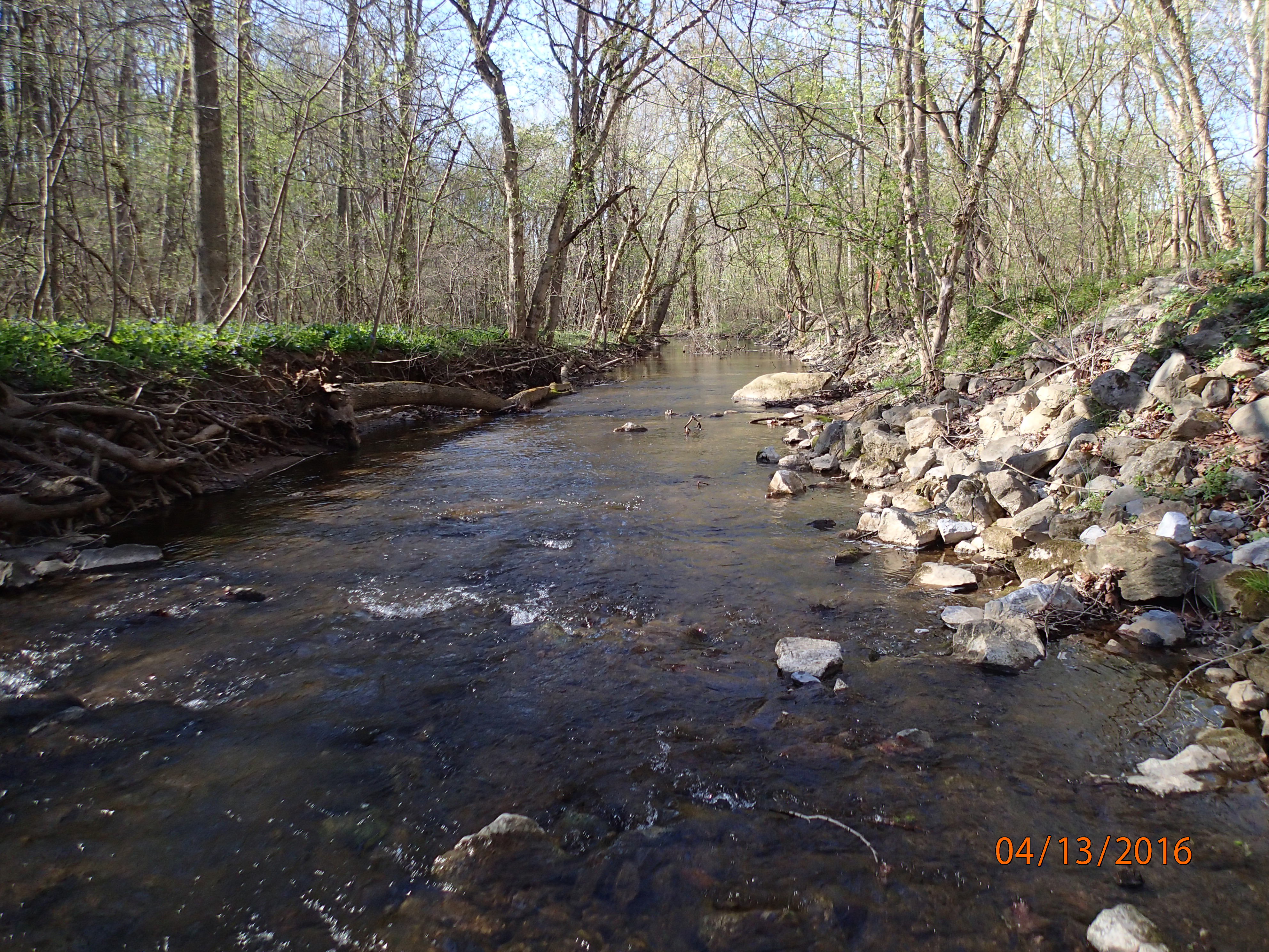 Field photo showing stream conditions at site PRFR-209-R-2016-MidpointDownstream