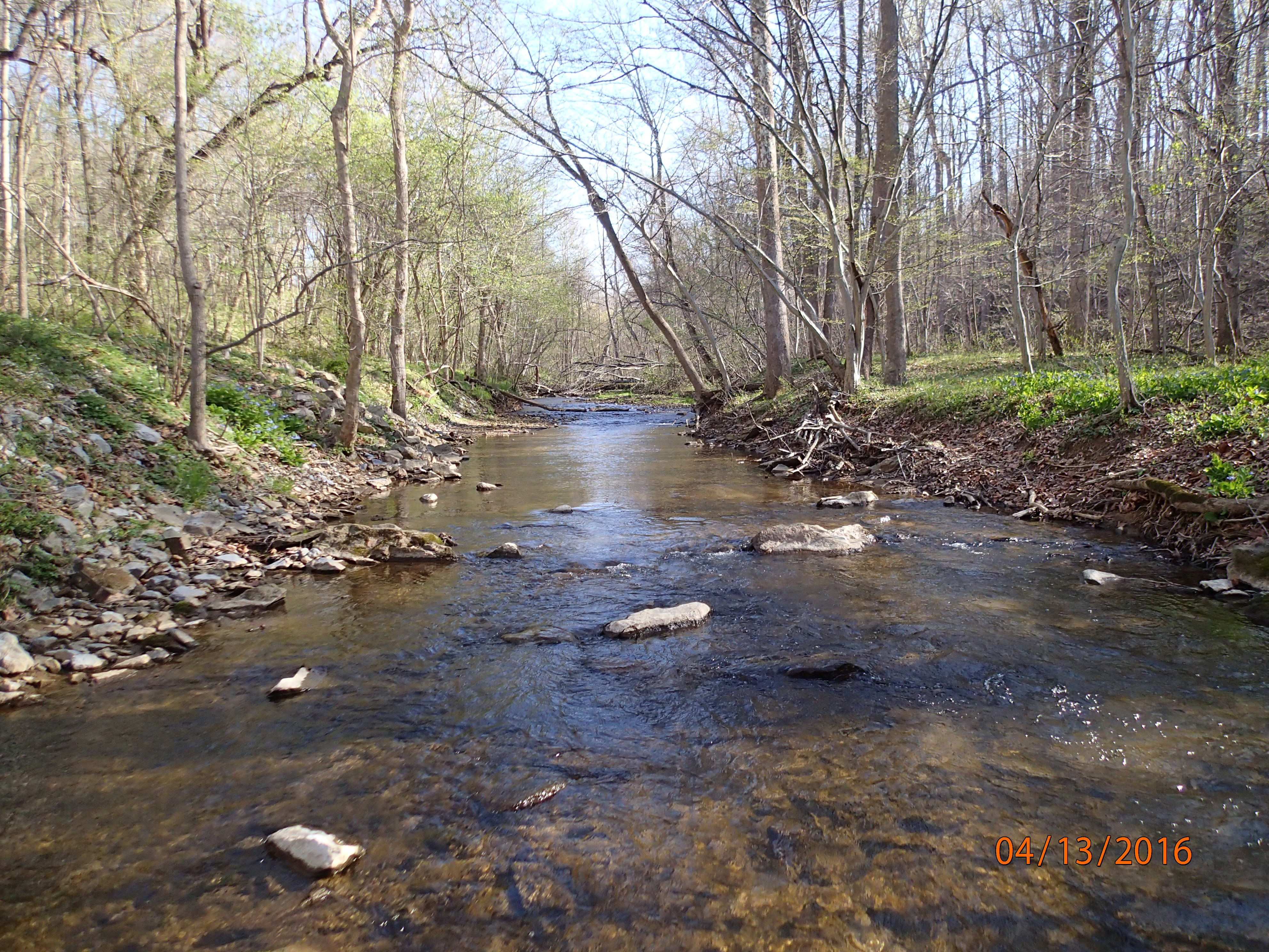 Field photo showing stream conditions at site PRFR-209-R-2016-MidpointUpstream