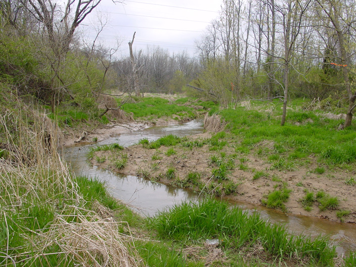Field photo showing stream conditions at site PRFR-211-R-2007-1