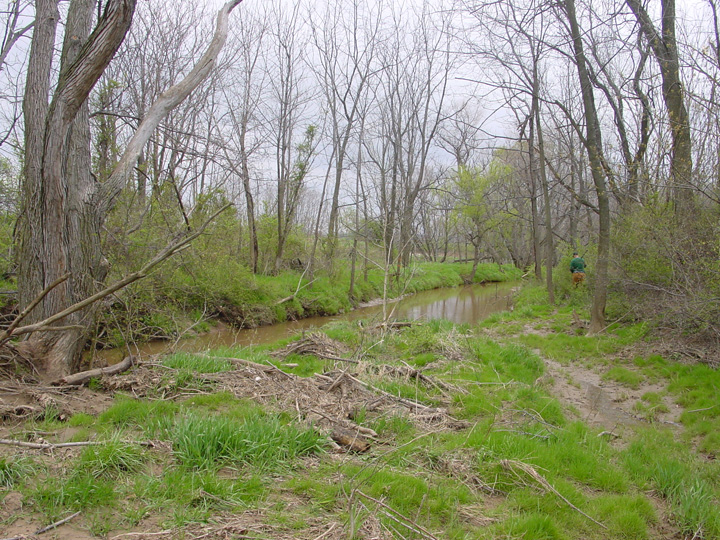 Field photo showing stream conditions at site PRFR-211-R-2007-2