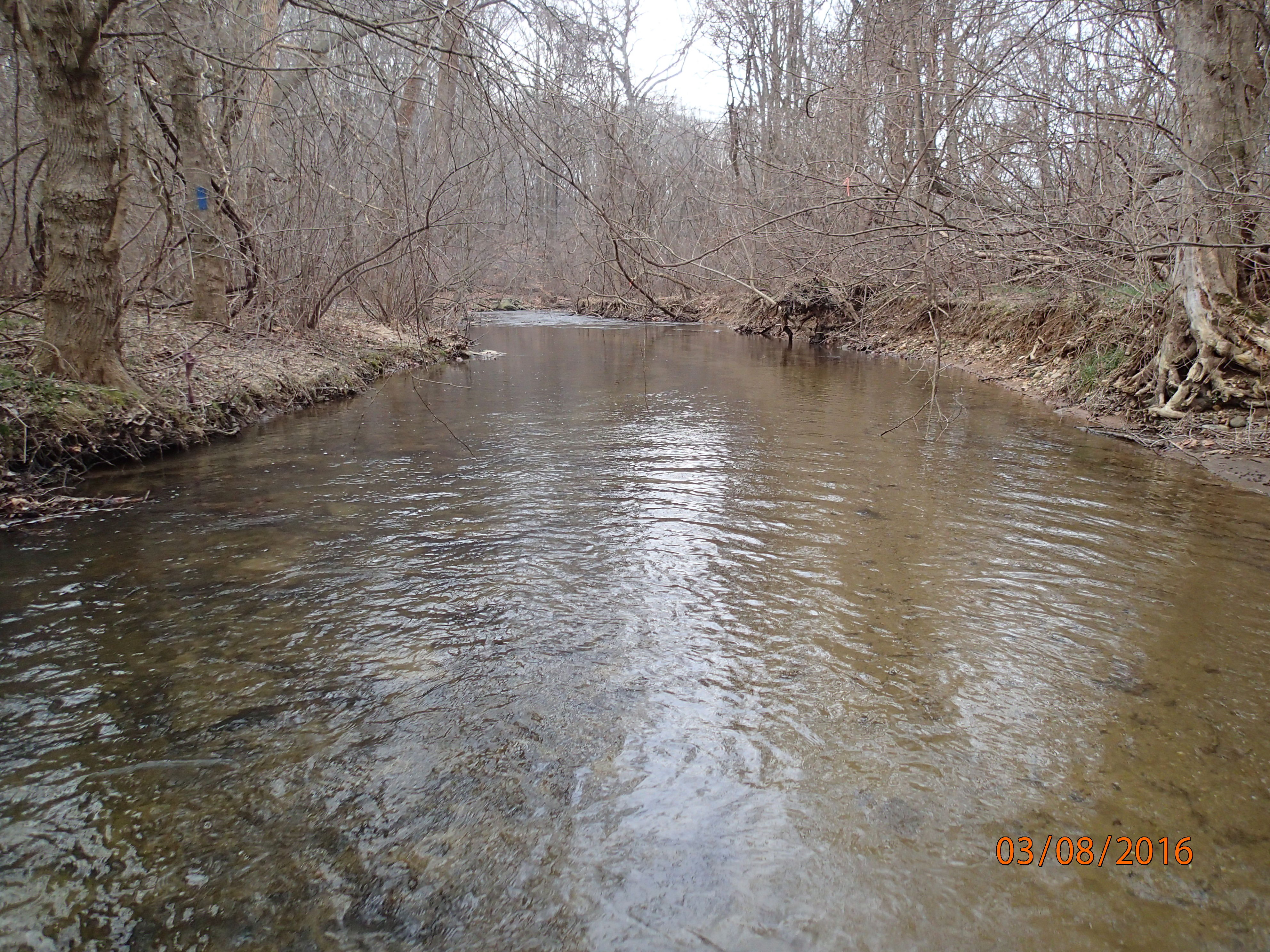 Field photo showing stream conditions at site PRFR-241-R-2016-MidpointDownstream