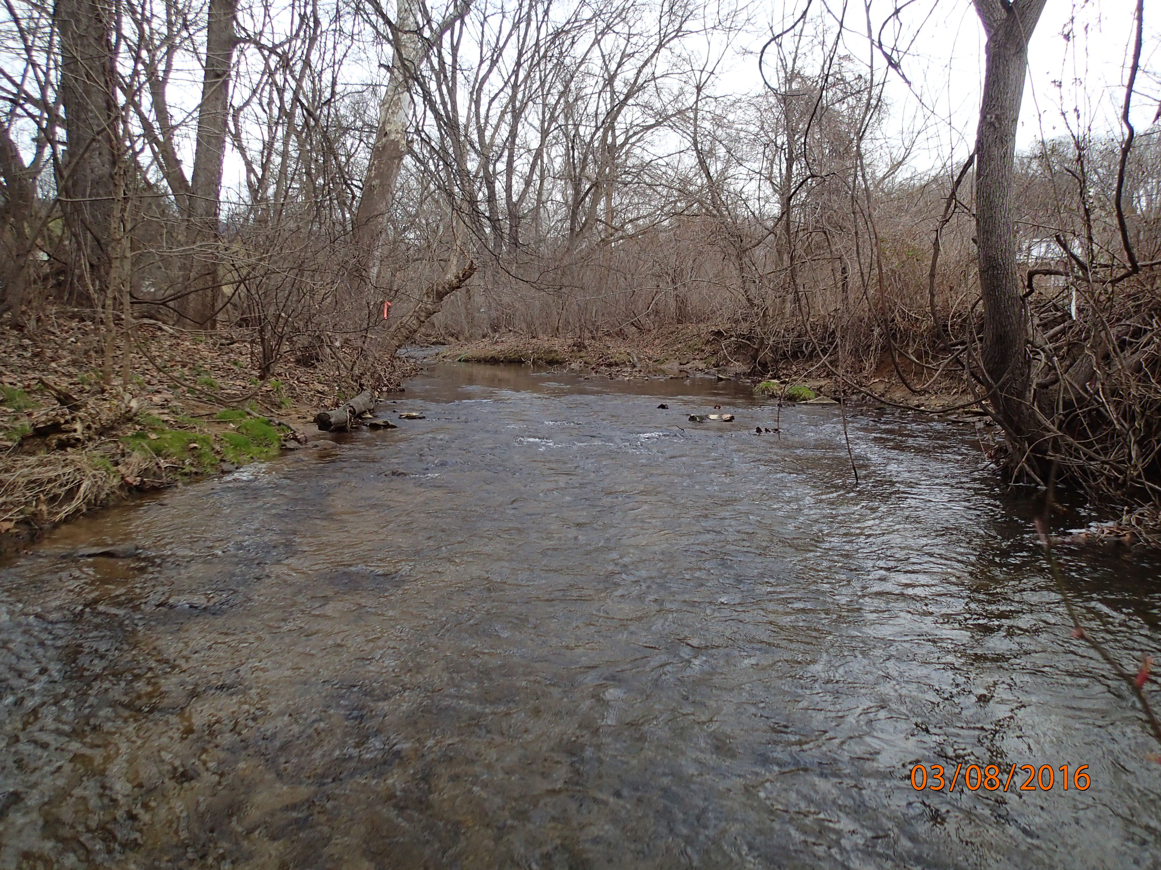 Field photo showing stream conditions at site PRFR-241-R-2016-MidpointUpstream