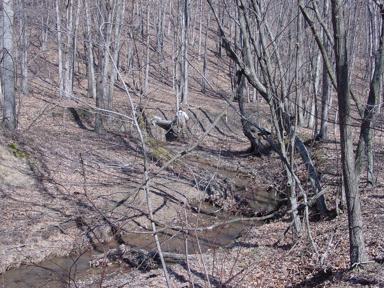 Field photo showing stream conditions at site PRLN-104-R-2003-1