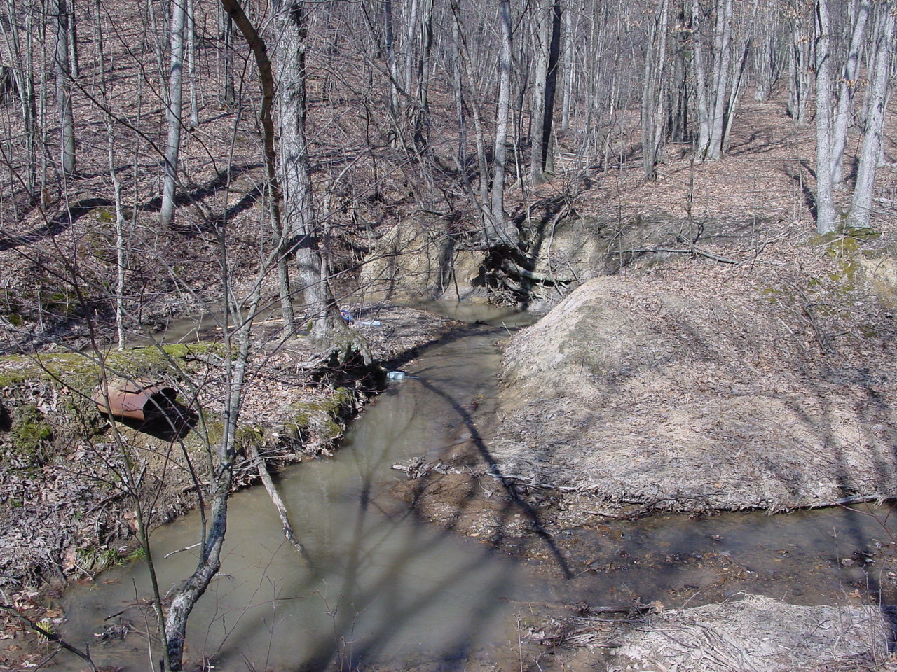 Field photo showing stream conditions at site PRLN-104-R-2003-2