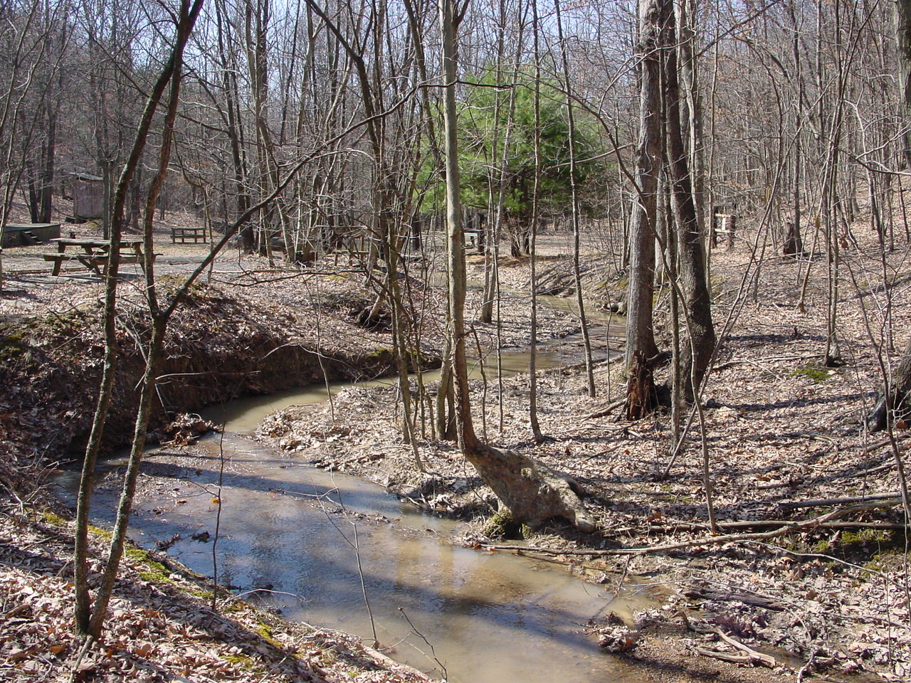 Field photo showing stream conditions at site PRLN-104-R-2003-3