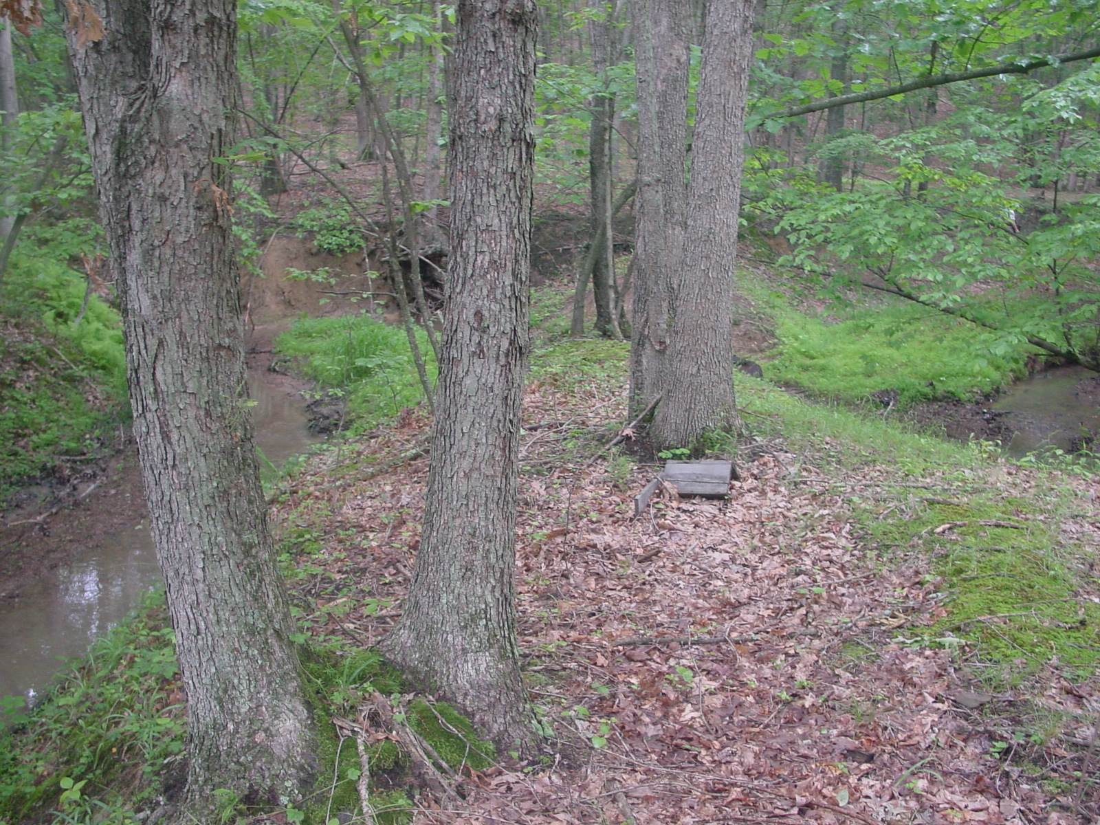 Field photo showing stream conditions at site PRLN-104-R-2003-4