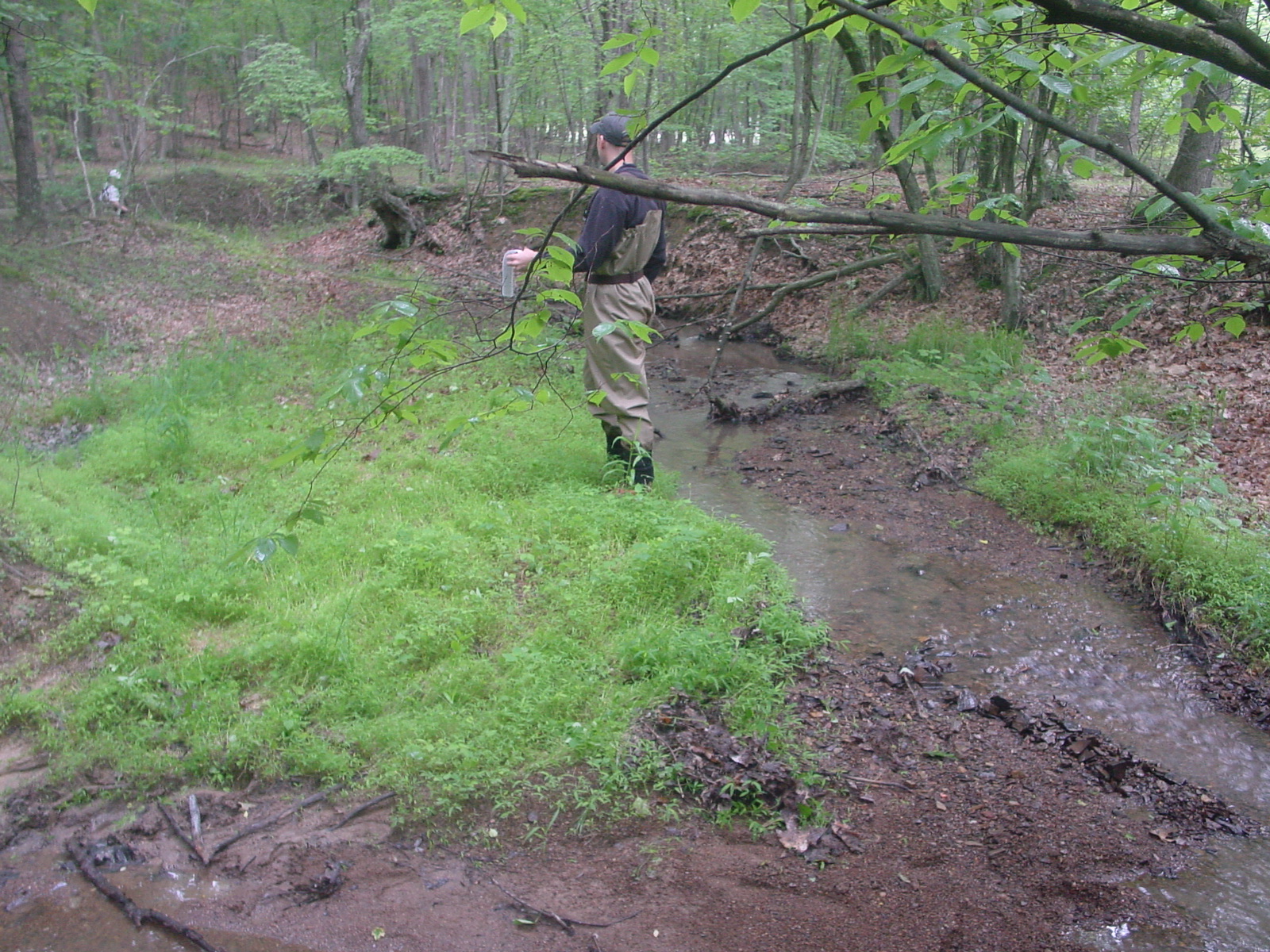 Field photo showing stream conditions at site PRLN-104-R-2003-5