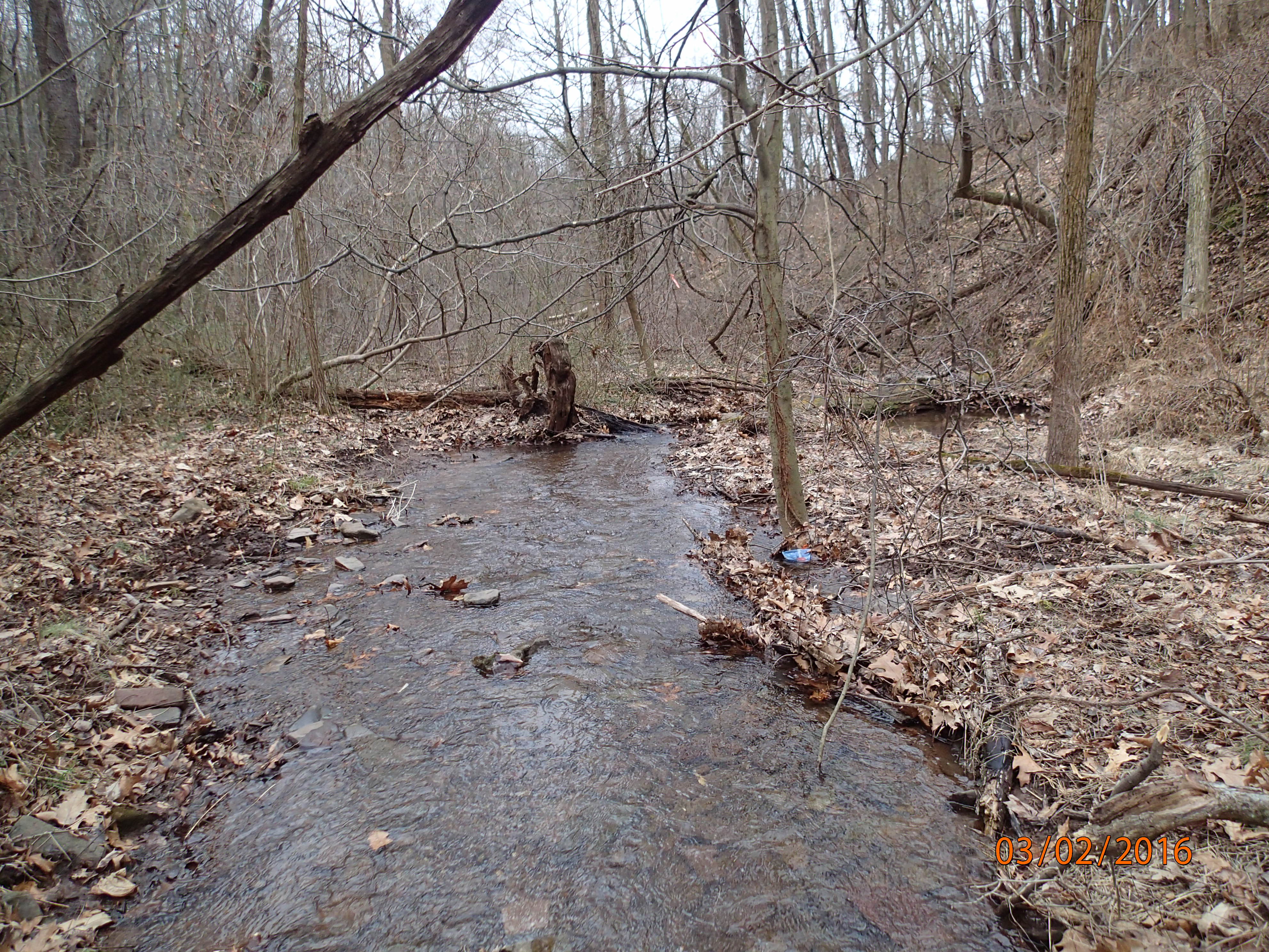 Field photo showing stream conditions at site PRLN-104-R-2016-MidpointDownstream