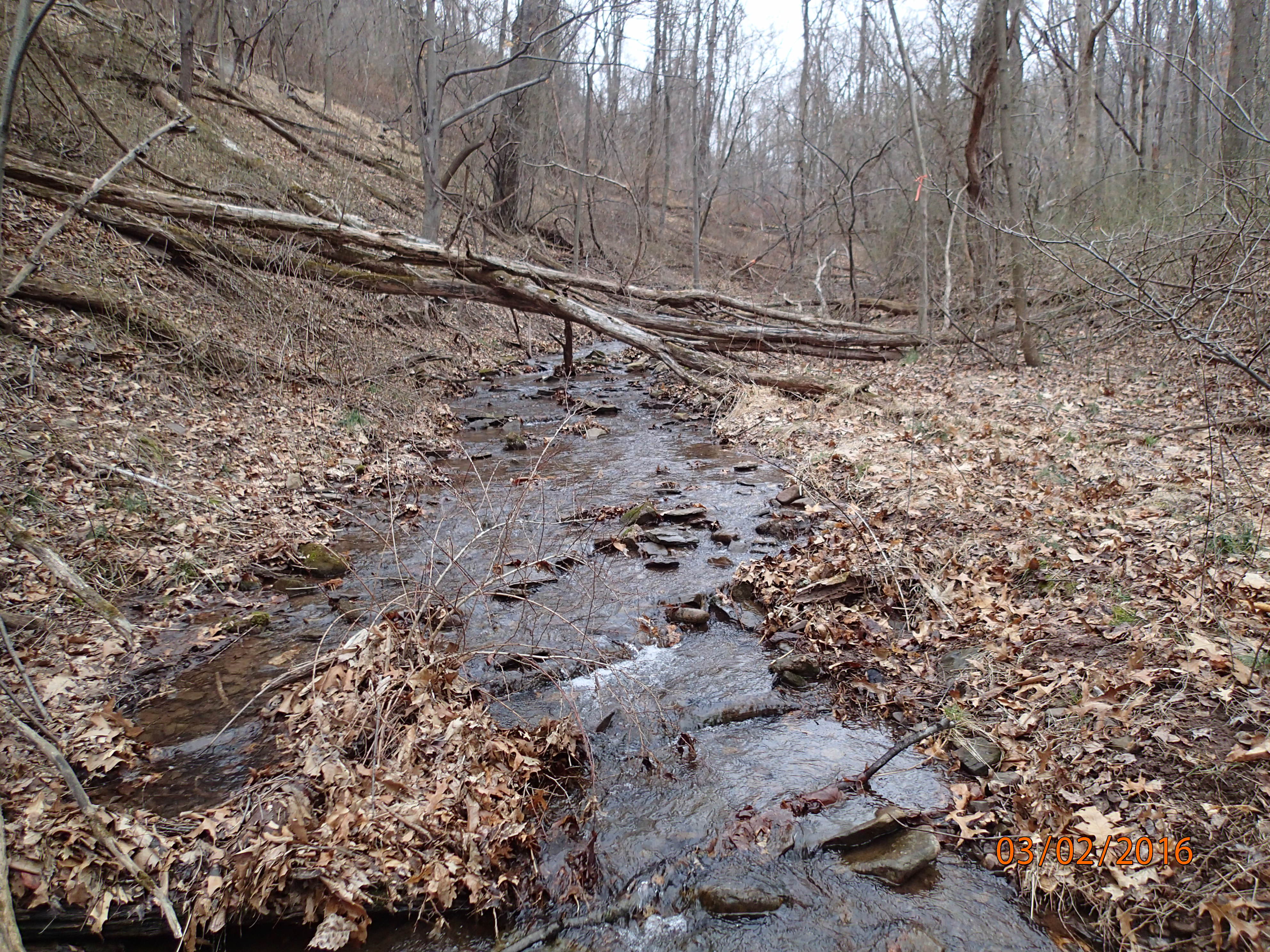 Field photo showing stream conditions at site PRLN-104-R-2016-MidpointUpstream