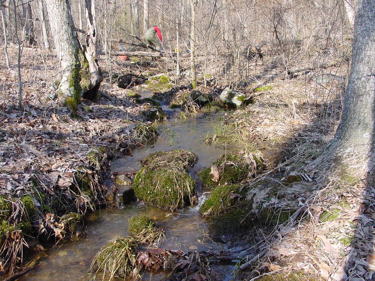 Field photo showing stream conditions at site PRLN-105-R-2003-2
