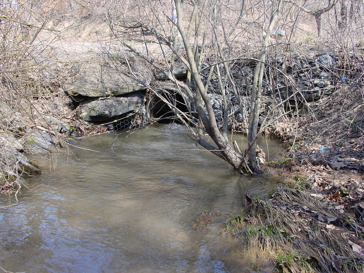 Field photo showing stream conditions at site PRLN-107-R-2003-1