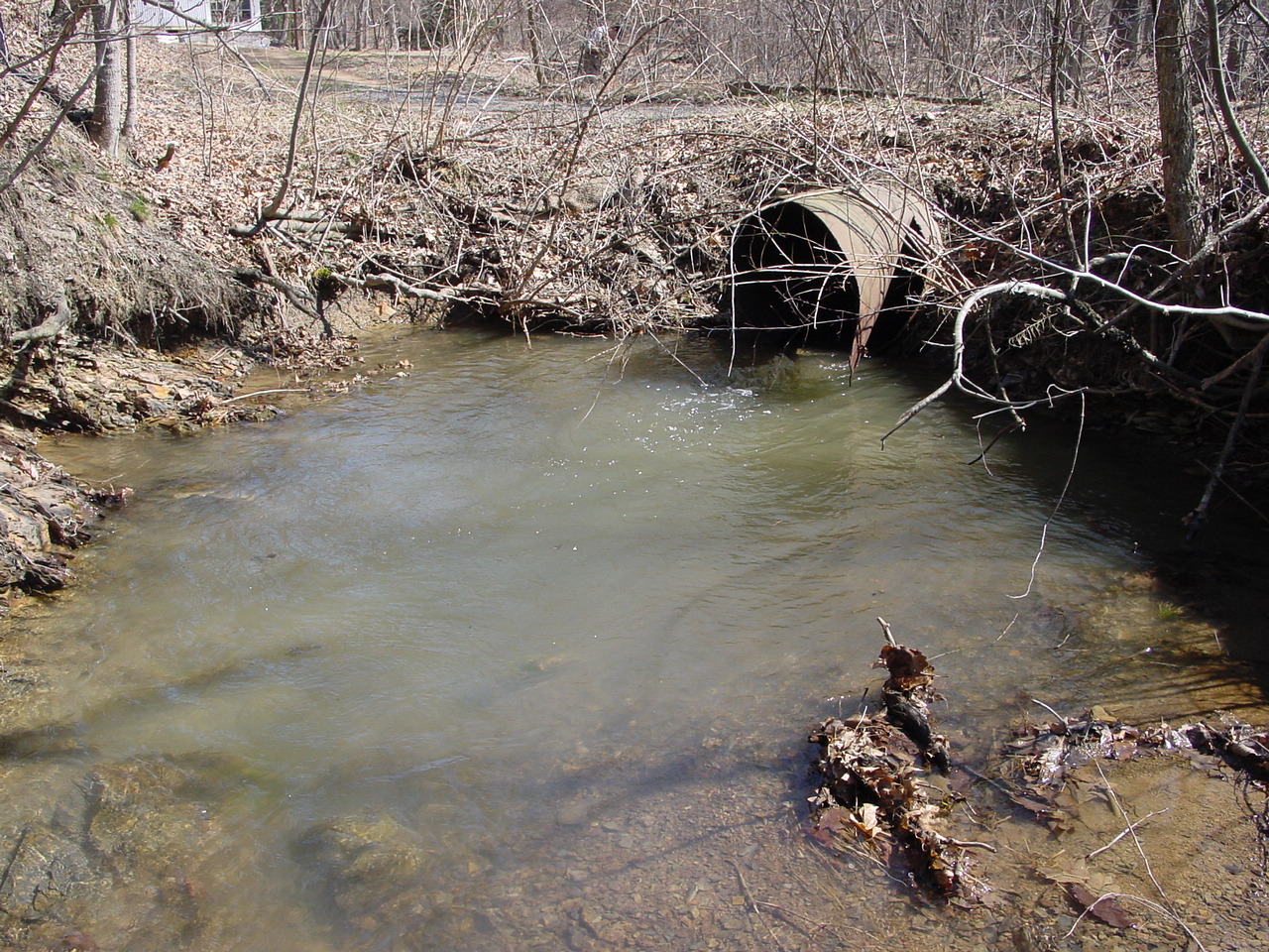 Field photo showing stream conditions at site PRLN-107-R-2003-3