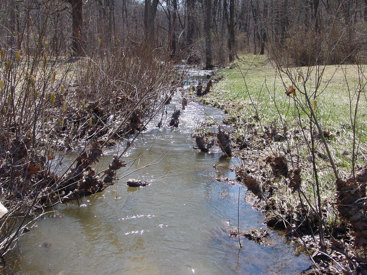 Field photo showing stream conditions at site PRLN-108-R-2003-1