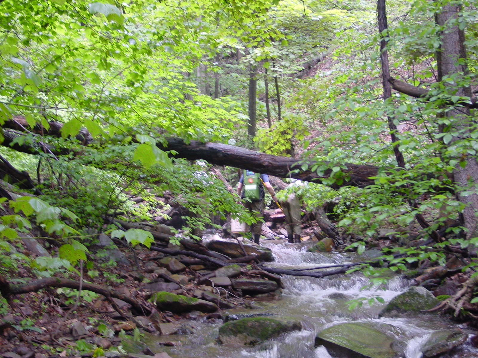 Field photo showing stream conditions at site PRLN-109-R-2003-4