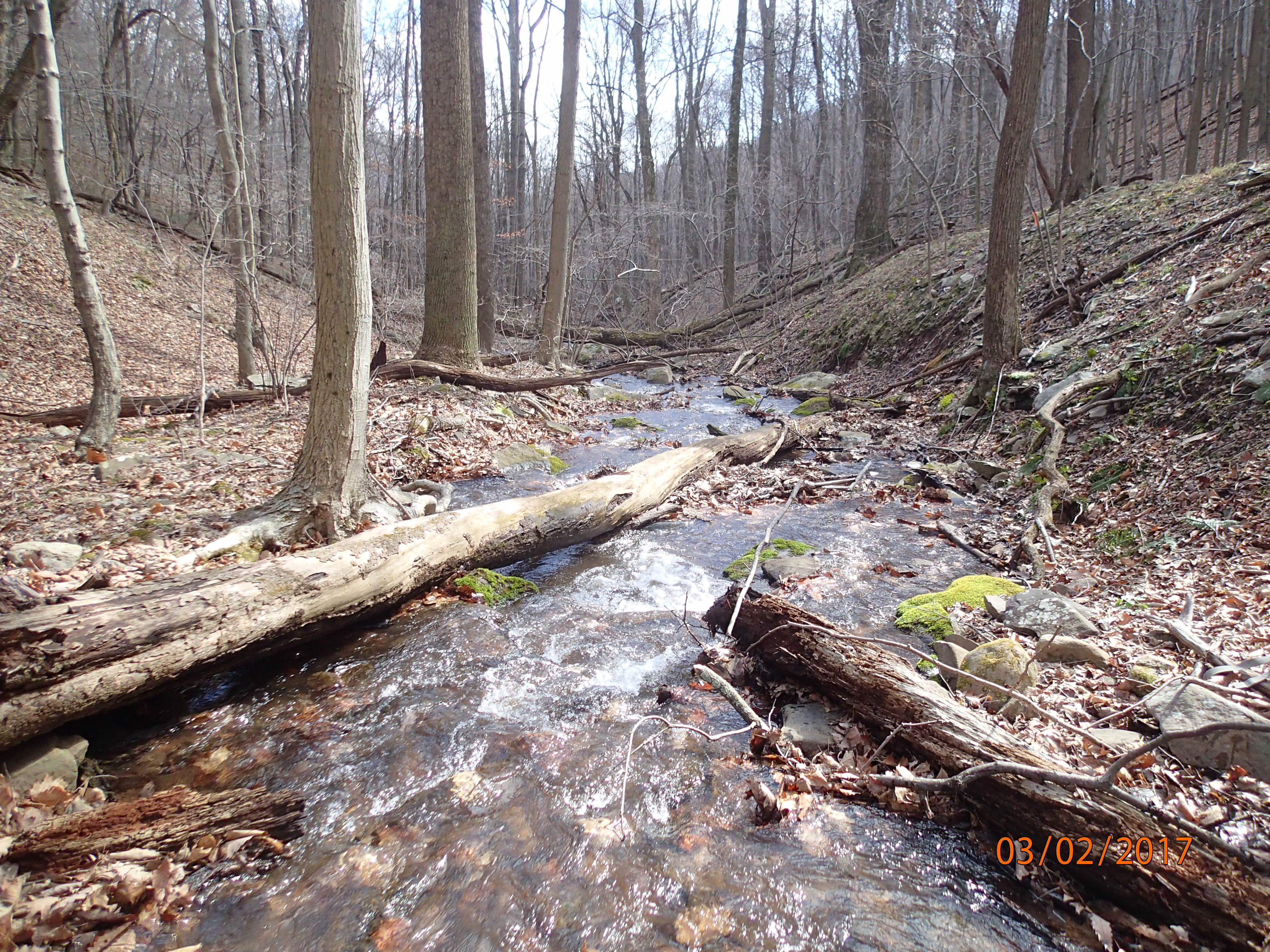 Field photo showing stream conditions at site PRLN-109-R-2017-MidpointDownstream