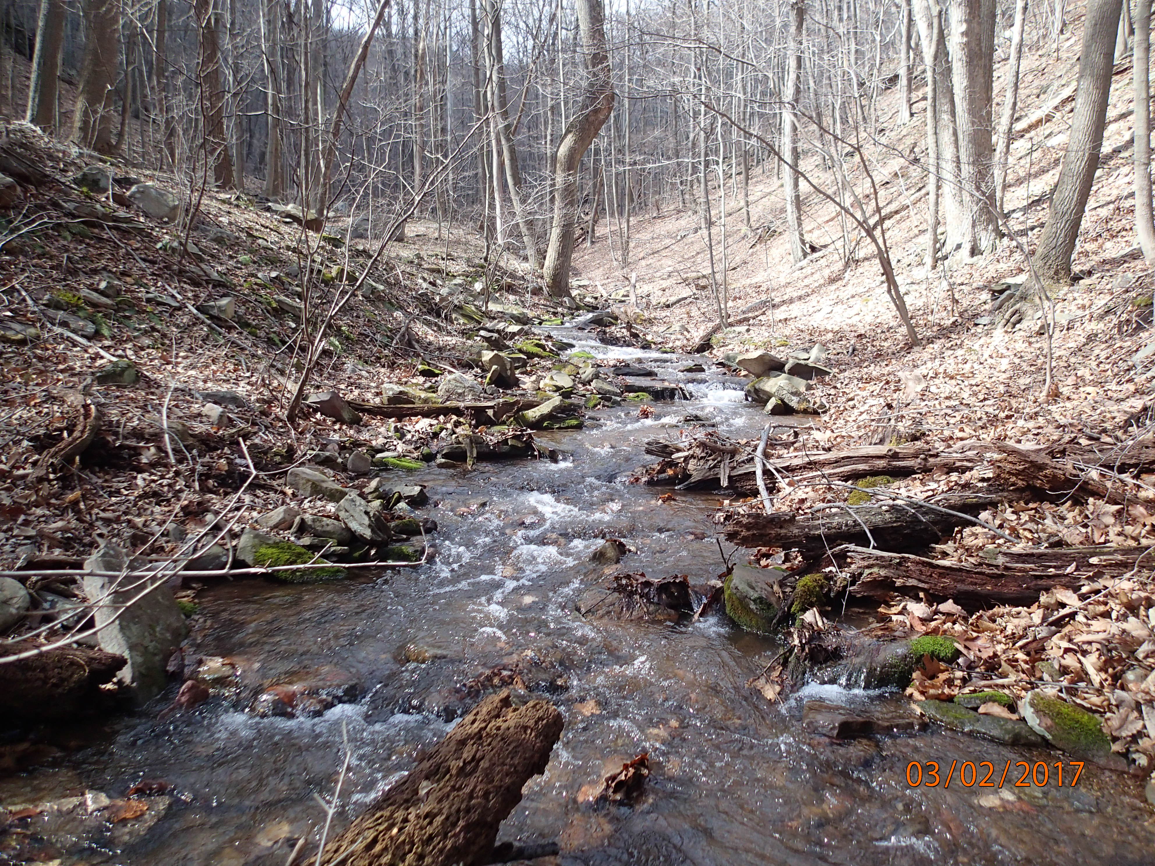 Field photo showing stream conditions at site PRLN-109-R-2017-MidpointUpstream