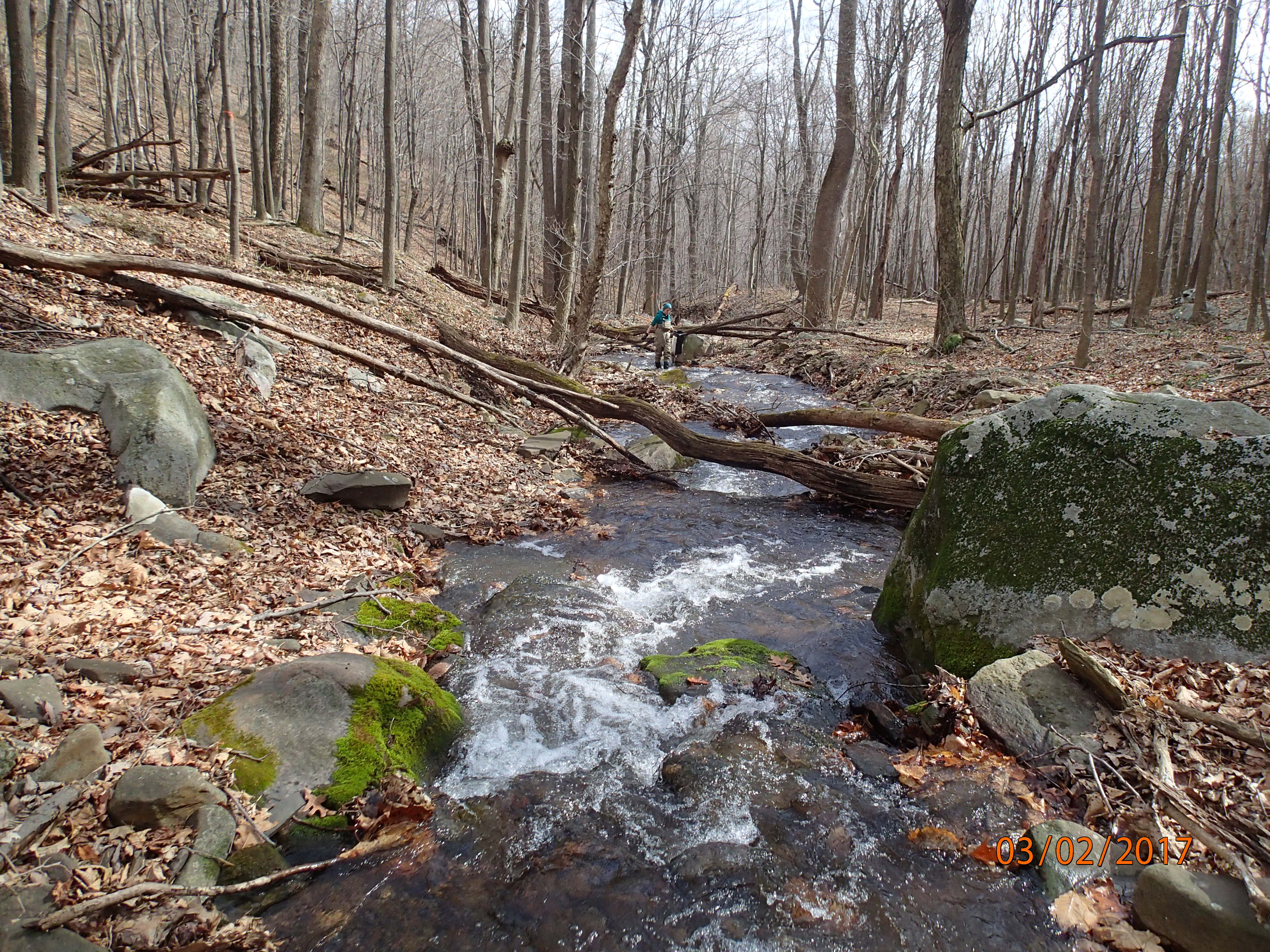 Field photo showing stream conditions at site PRLN-113-R-2017-MidpointDownstream