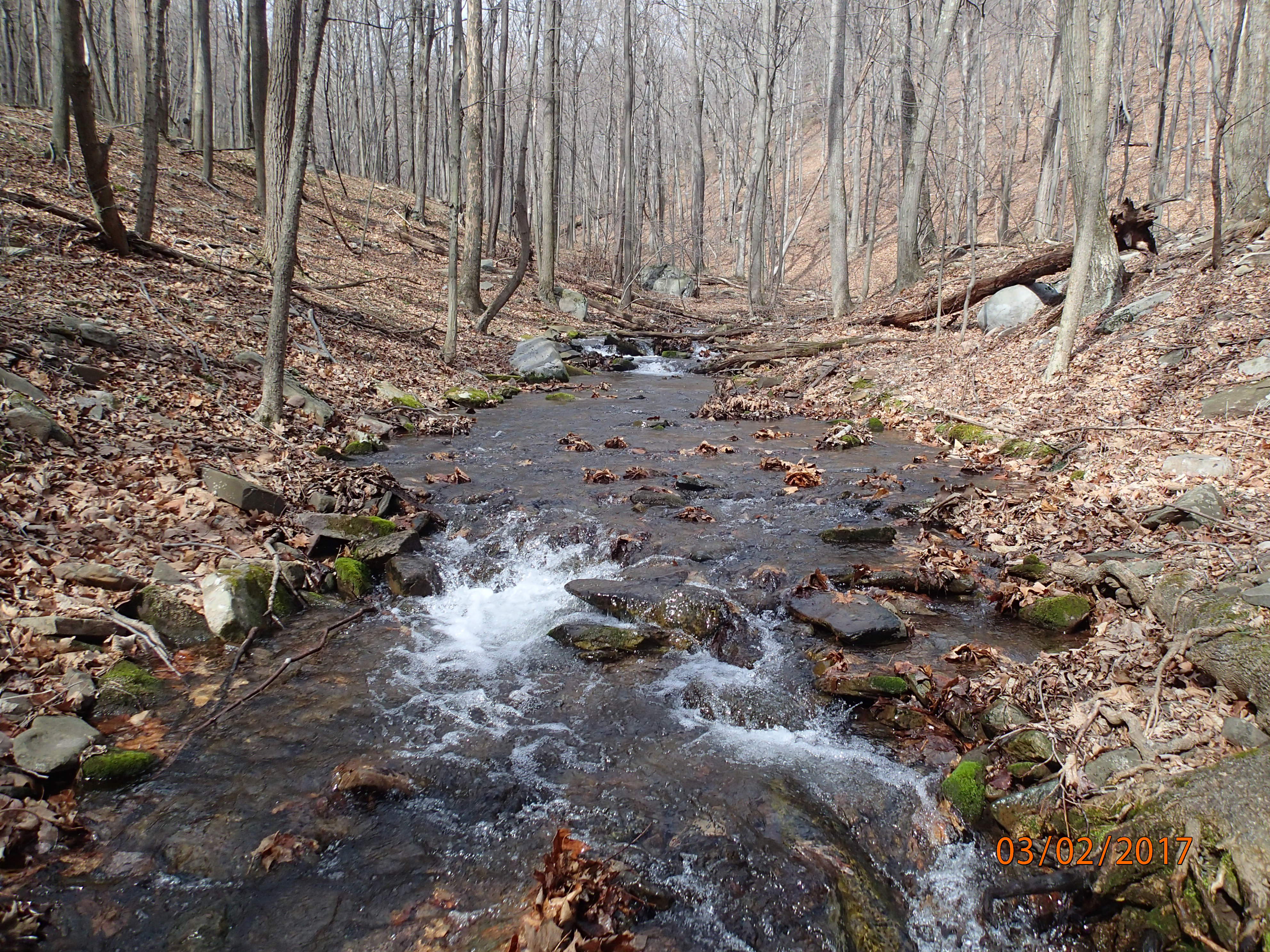 Field photo showing stream conditions at site PRLN-113-R-2017-MidpointUpstream